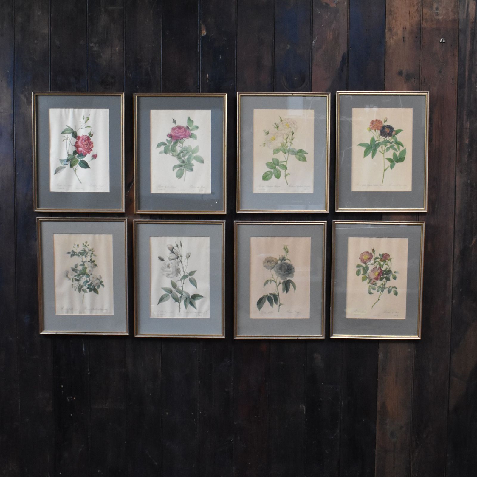 Vintage Mid Century Pierre Joseph Redoute Botanicals Rose Prints Set Of 8 photo furniture