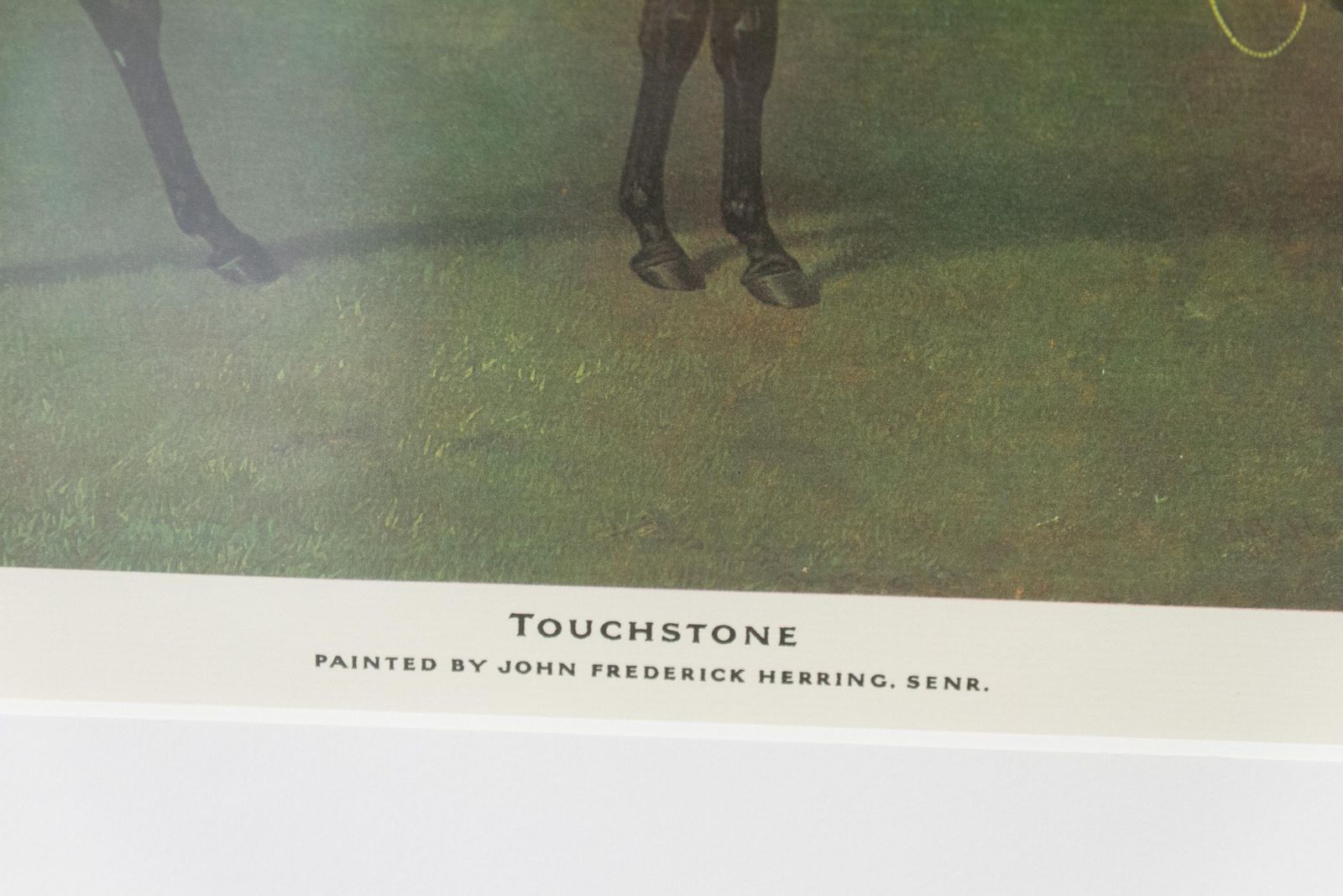 photo for sale Framed Print Of Bay Horse "Touchstone" By John Frederick Herring , 20th Century.