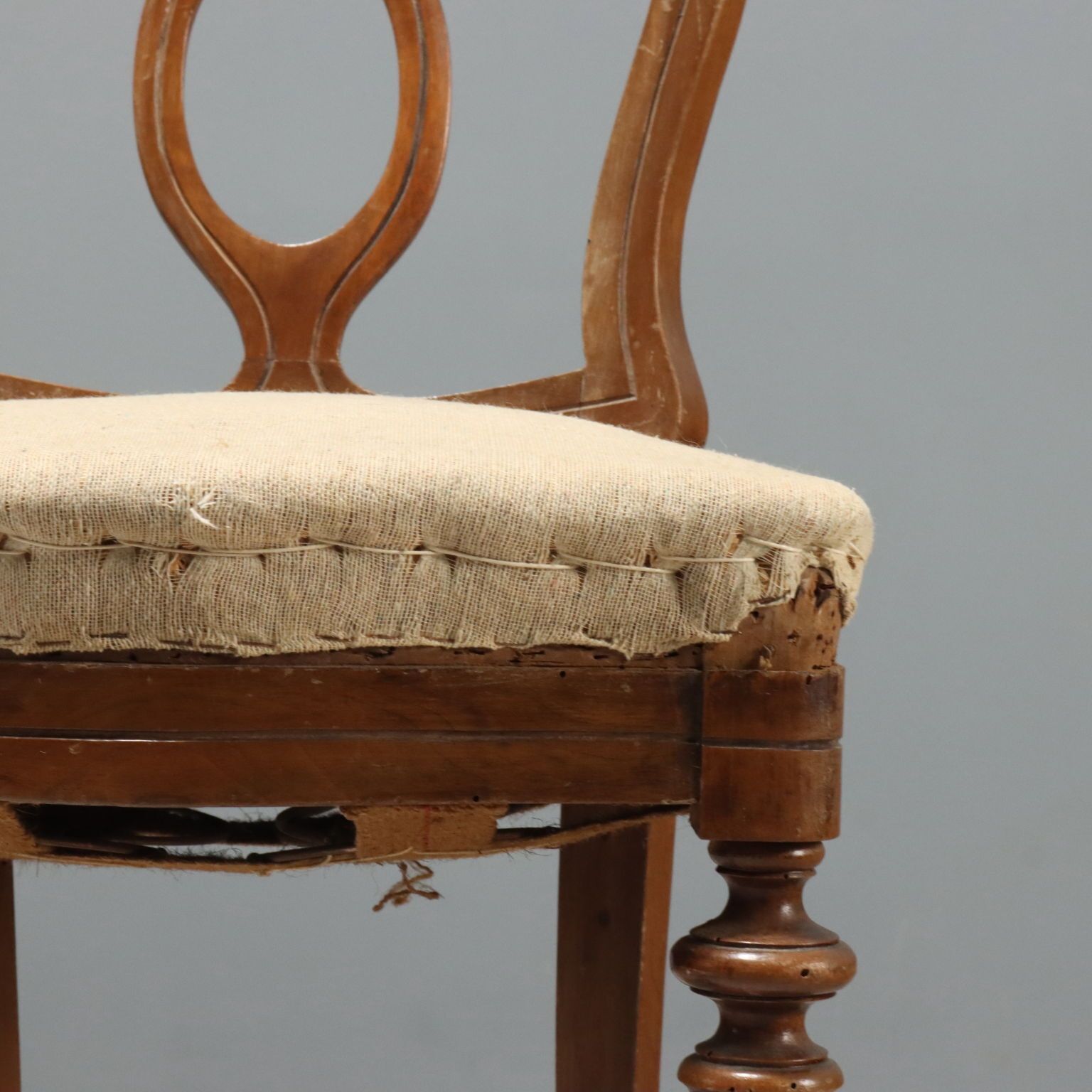 Antique Chairs Walnut Horsehair Padding Italy XIX Century photo 480.0