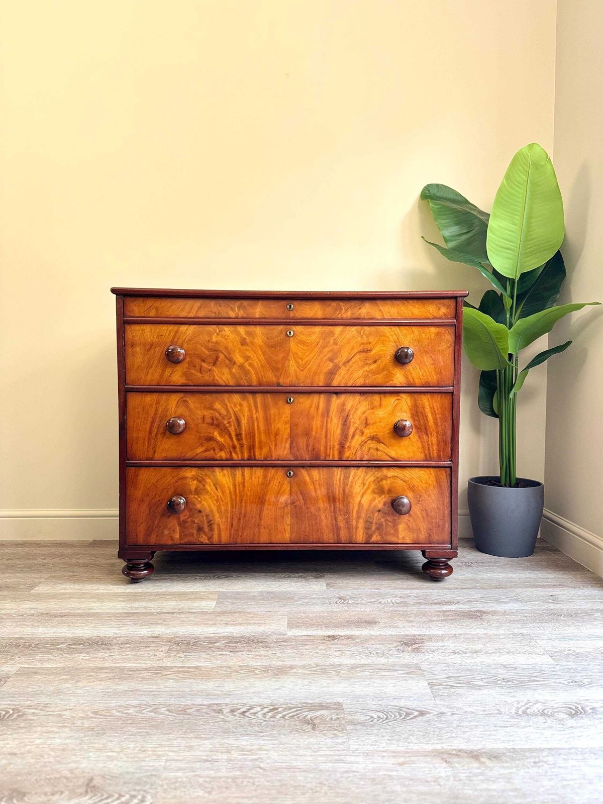 Antique Georgian Flame Mahogany Solid Wood Chest Of Drawers 3 Drawer Dresser