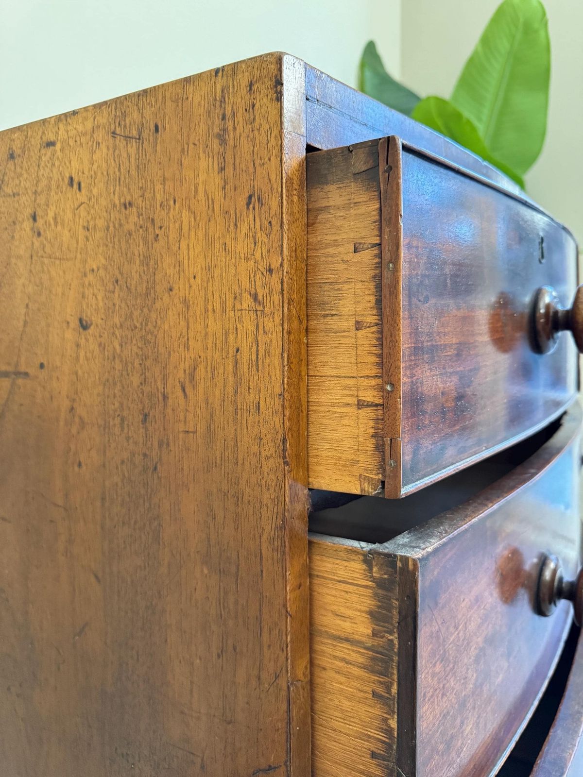 Antique Bow Fronted Small Solid Wooden Chest Of Drawers With Dovetail Ends Dark Wood photo vinterior