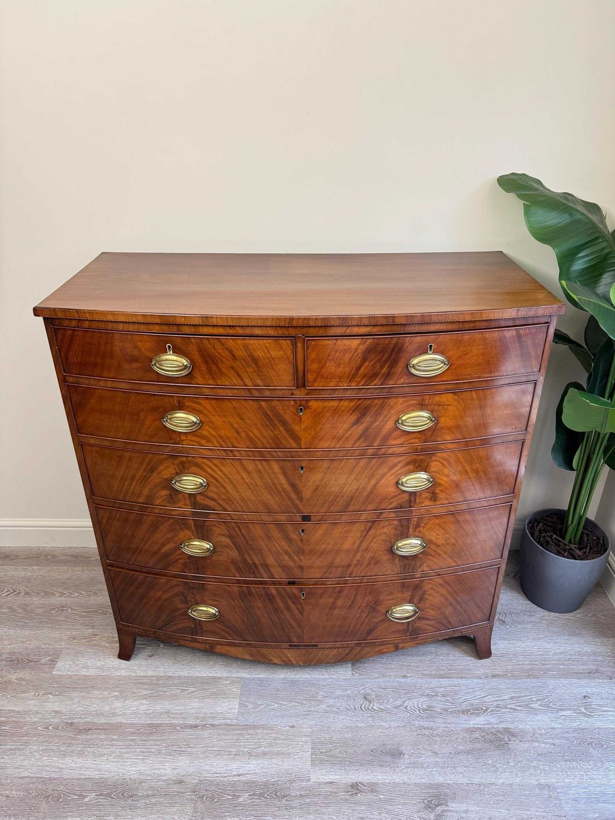 Antique Georgian Bow Fronted Solid Wood Extra Large Chest Of Drawers photo furniture