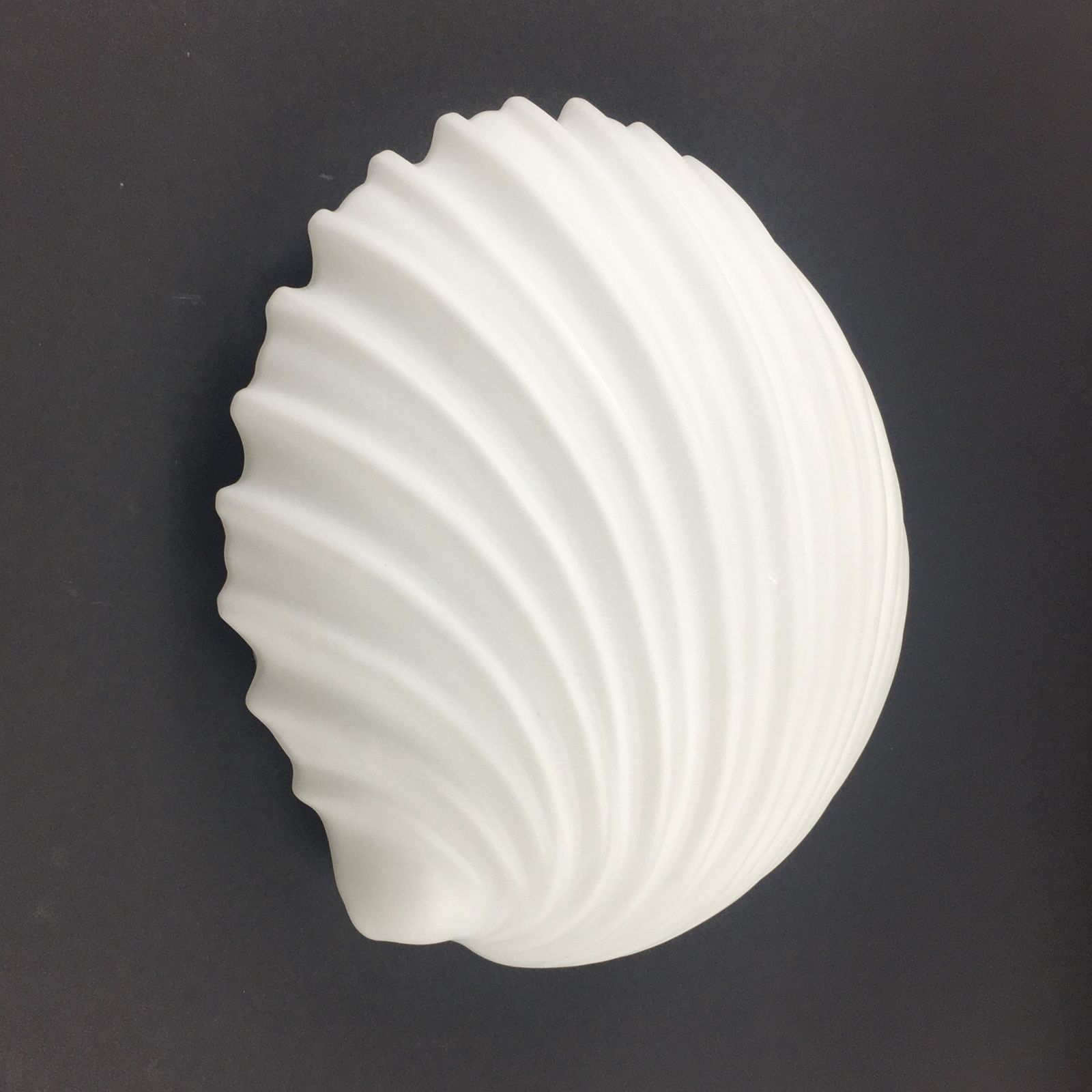 Pair Of Large Minimalist Shell Shaped Opaline Glass Wall Lights From Limburg, Germany, 1970s photo for sale