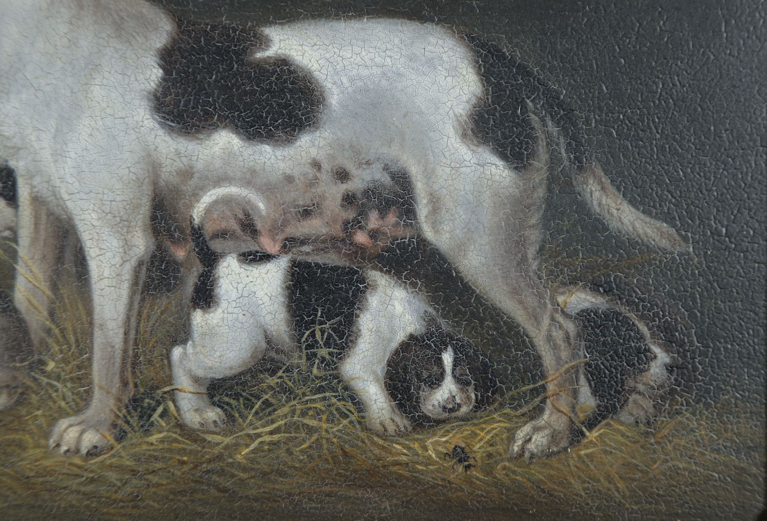 Small English Georgian Oil Painting Picture Of A Hound Dog “Lady” & Her Litter Attributed To Samuel Raven (Circa 1800) photo vintage