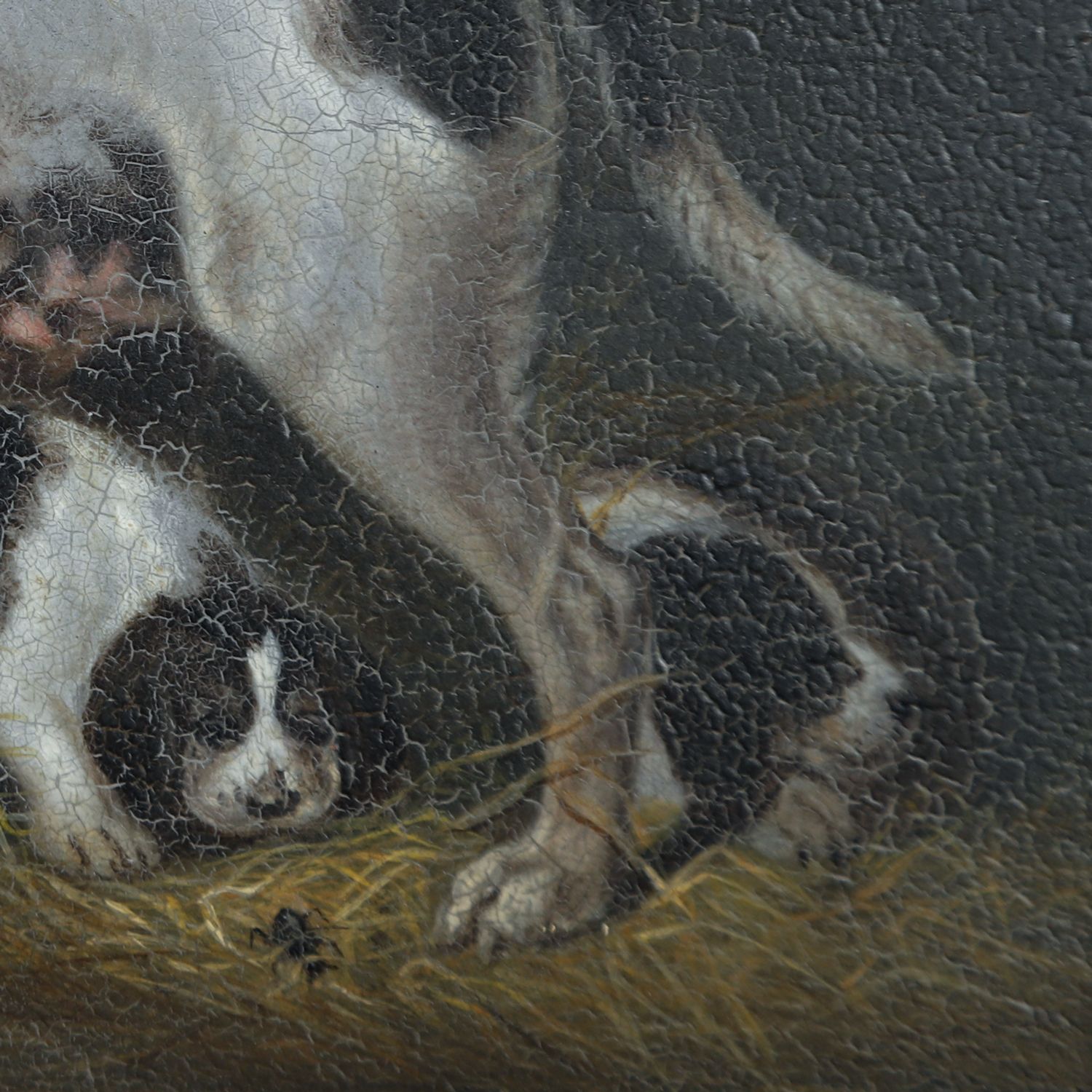 photo vinterior Small English Georgian Oil Painting Picture Of A Hound Dog “Lady” & Her Litter Attributed To Samuel Raven (Circa 1800)