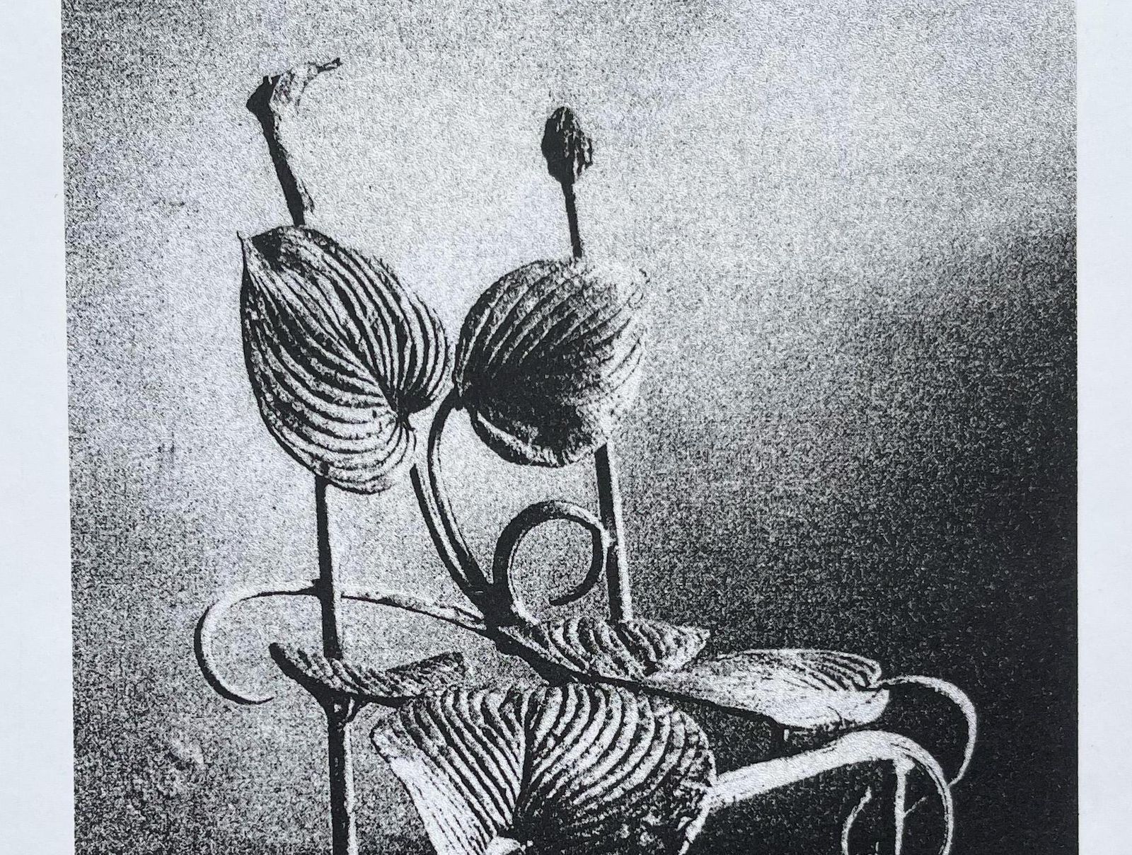 Claude Lalanneclaude Lalanne (1925 2019) "Chaise Horta", Heliogravure.2004 photo Art