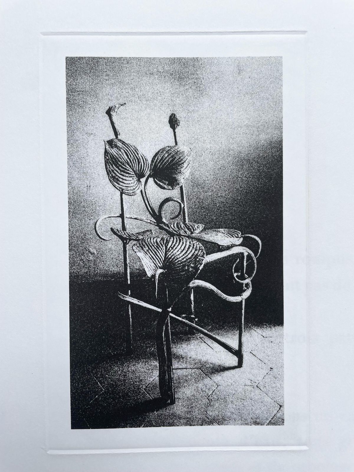 Claude Lalanneclaude Lalanne (1925 2019) "Chaise Horta", Heliogravure.2004 photo 523.0