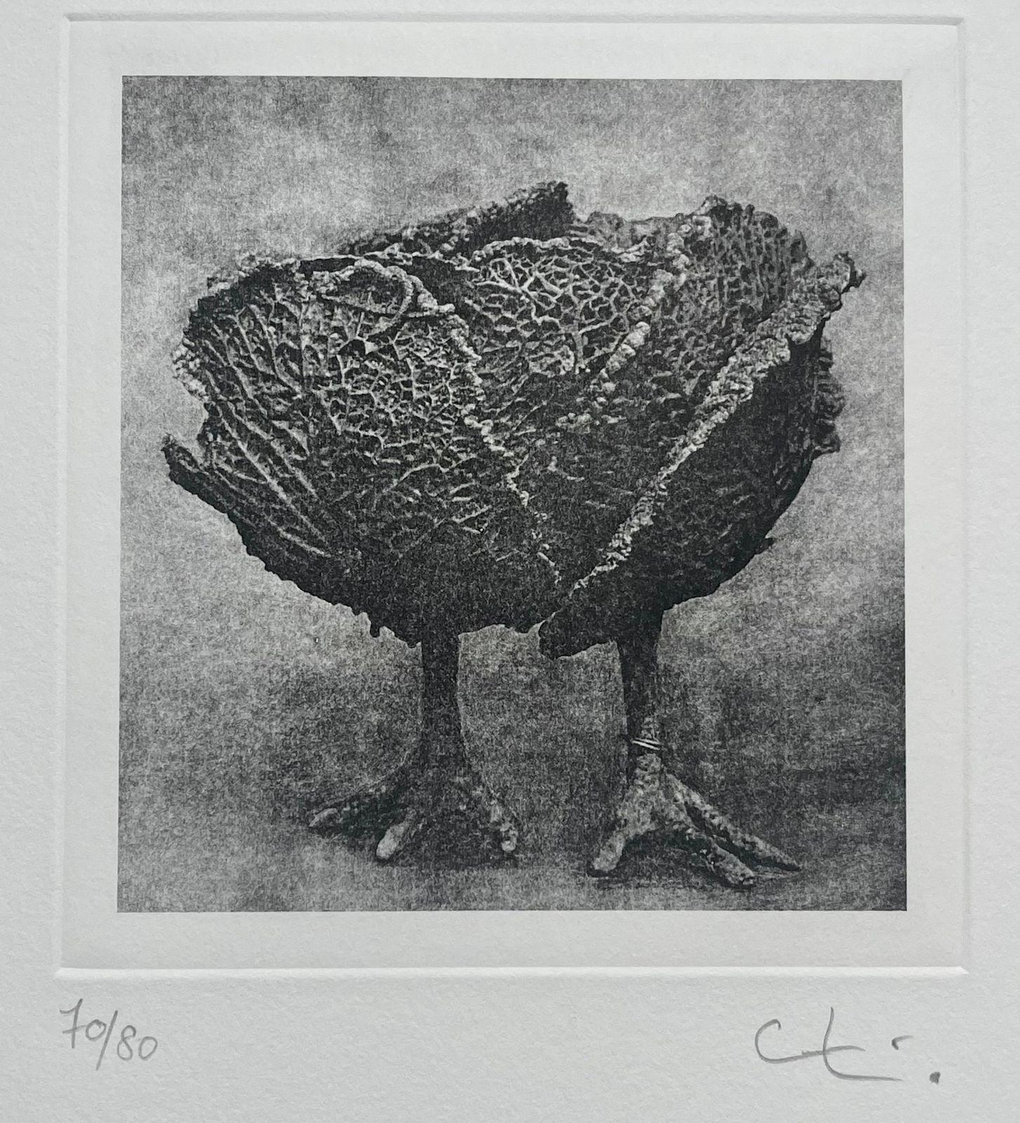 Claude Lalanneoriginal Print Handsigned In Pencil By Claude Lalanne2004 photo furniture