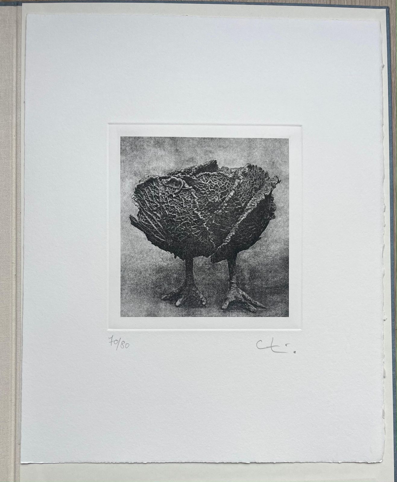 Claude Lalanneoriginal Print Handsigned In Pencil By Claude Lalanne2004 photo 2782.0