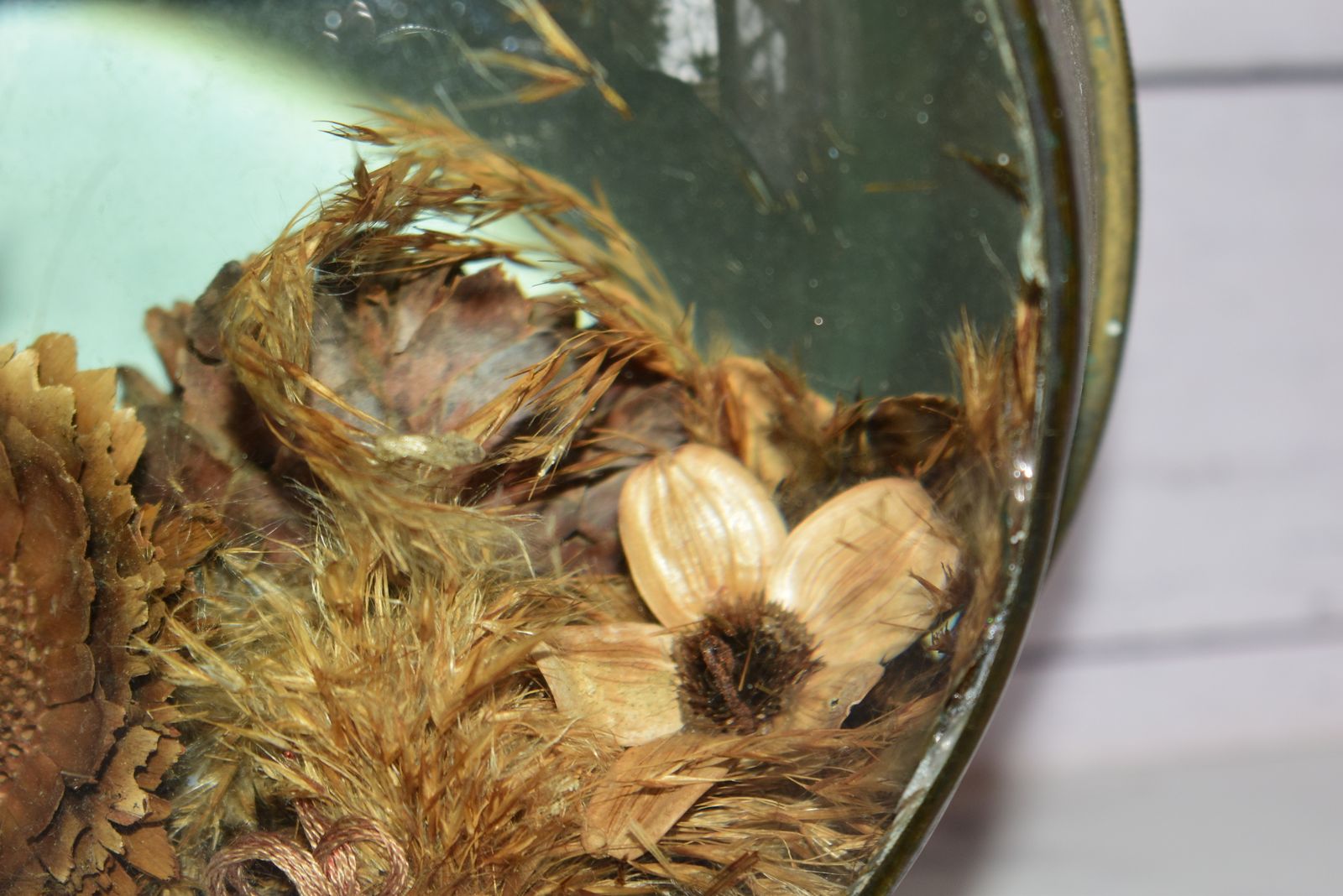 photo vinterior Victorian Botanical Diorama Of Bubble Glass With Dried Flower Display