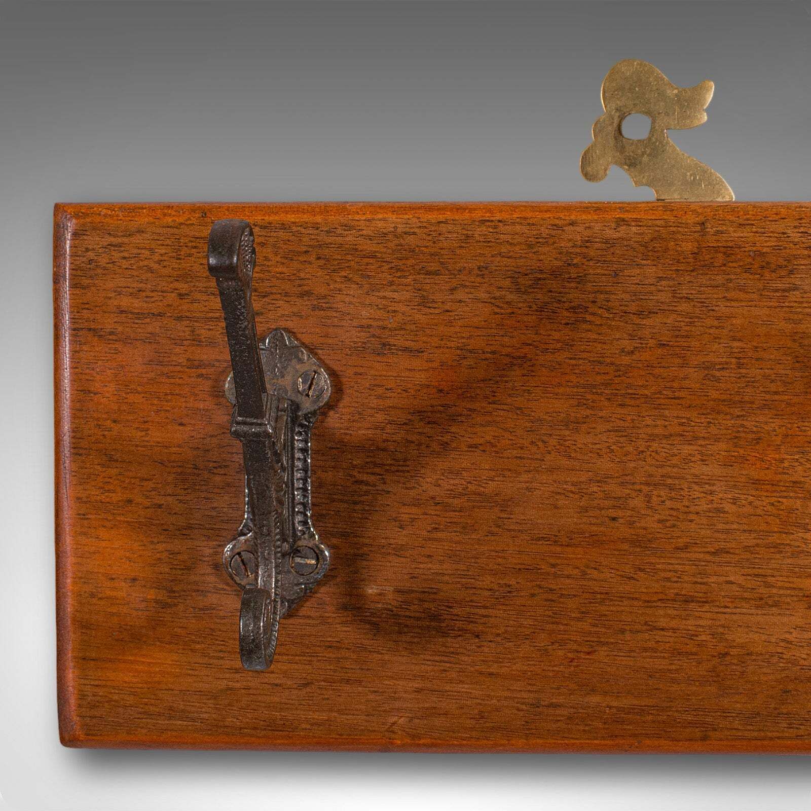 Antique Coat Rack, English, Cloakroom, Reception Hall, Mounted Hooks, Victorian photo vinterior