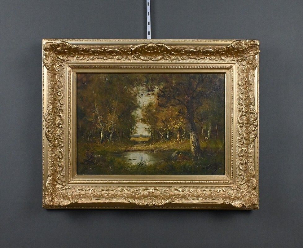 Art Painting "Pond Under The Woods" Signed A. Salvignac – Early 20th Century photo