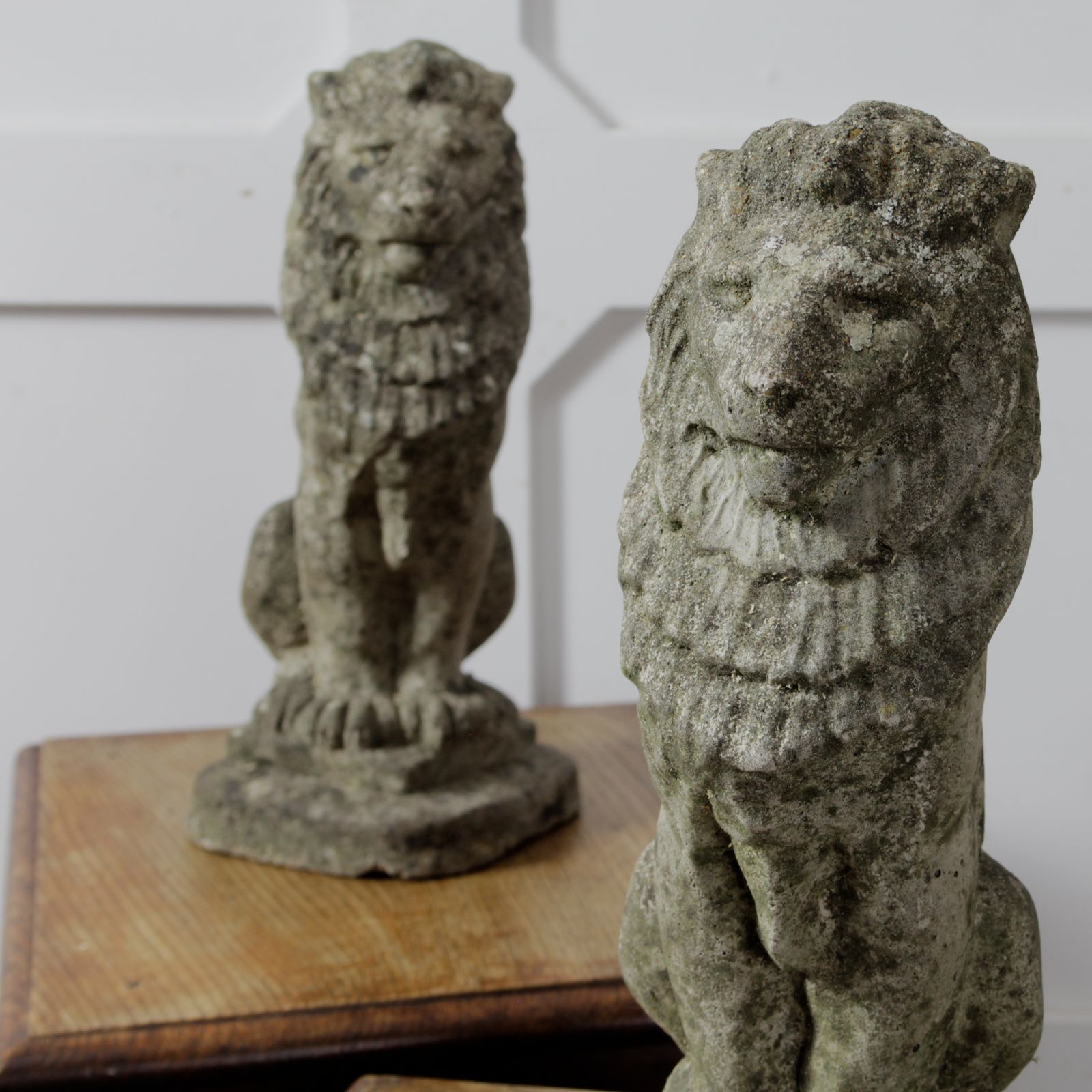 Pair Of Vintage Concrete Lions photo Art