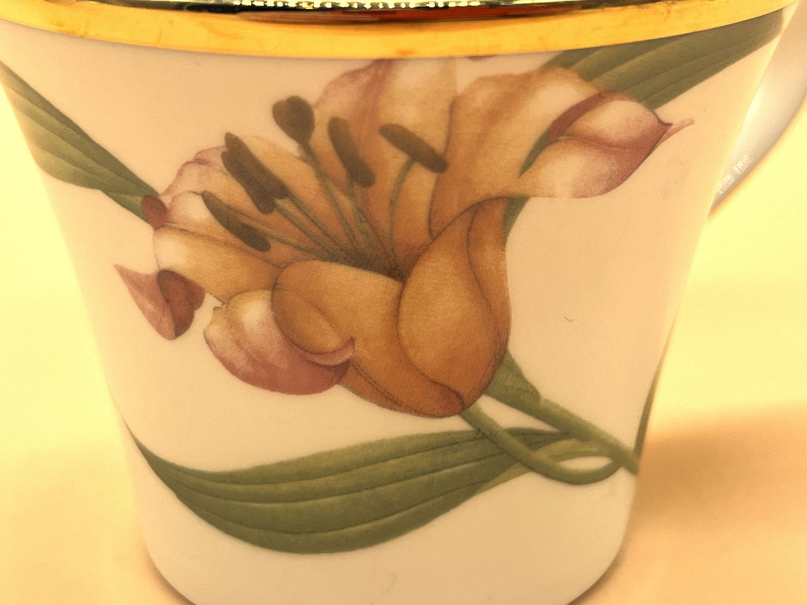 Wedgwood China Enchanted Garden Design Tea Cup & Saucer Duo. photo vintage