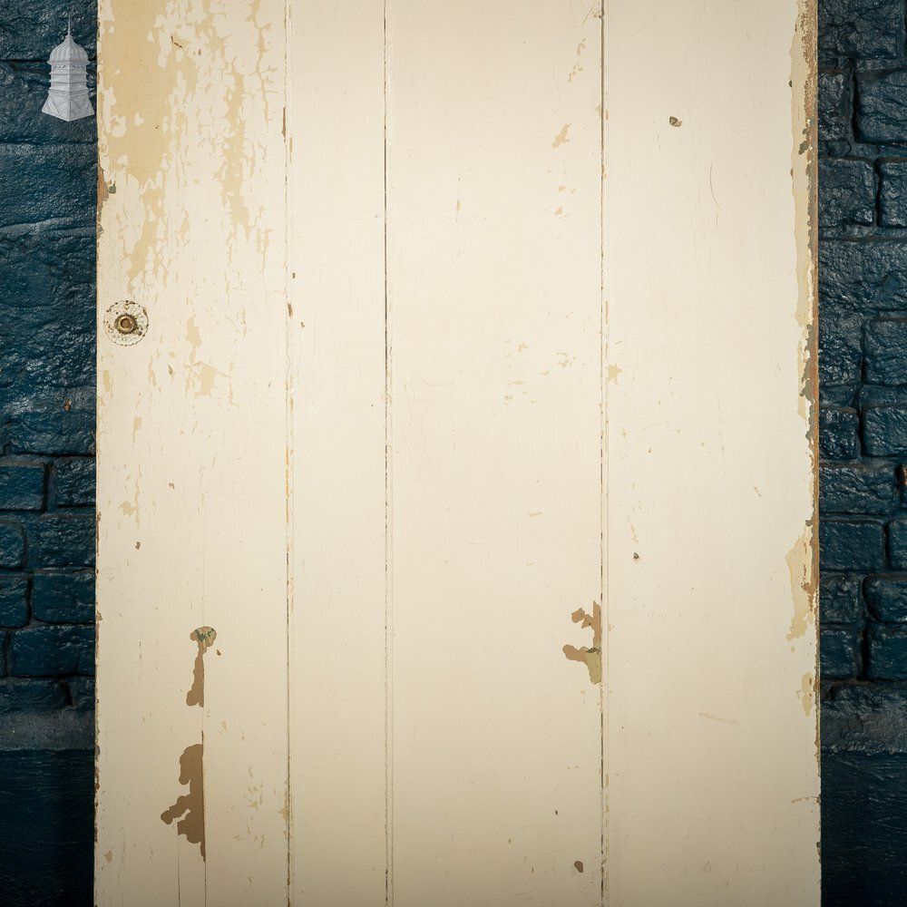 Plank & Ledge Door, White Painted Beadboard photo for sale