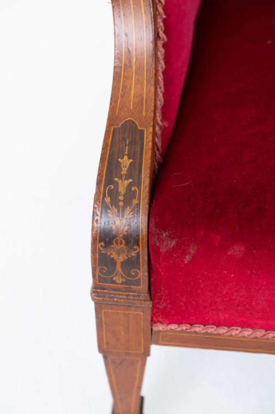 Sheraton Club Chair Seat Revival 1900. photo furniture