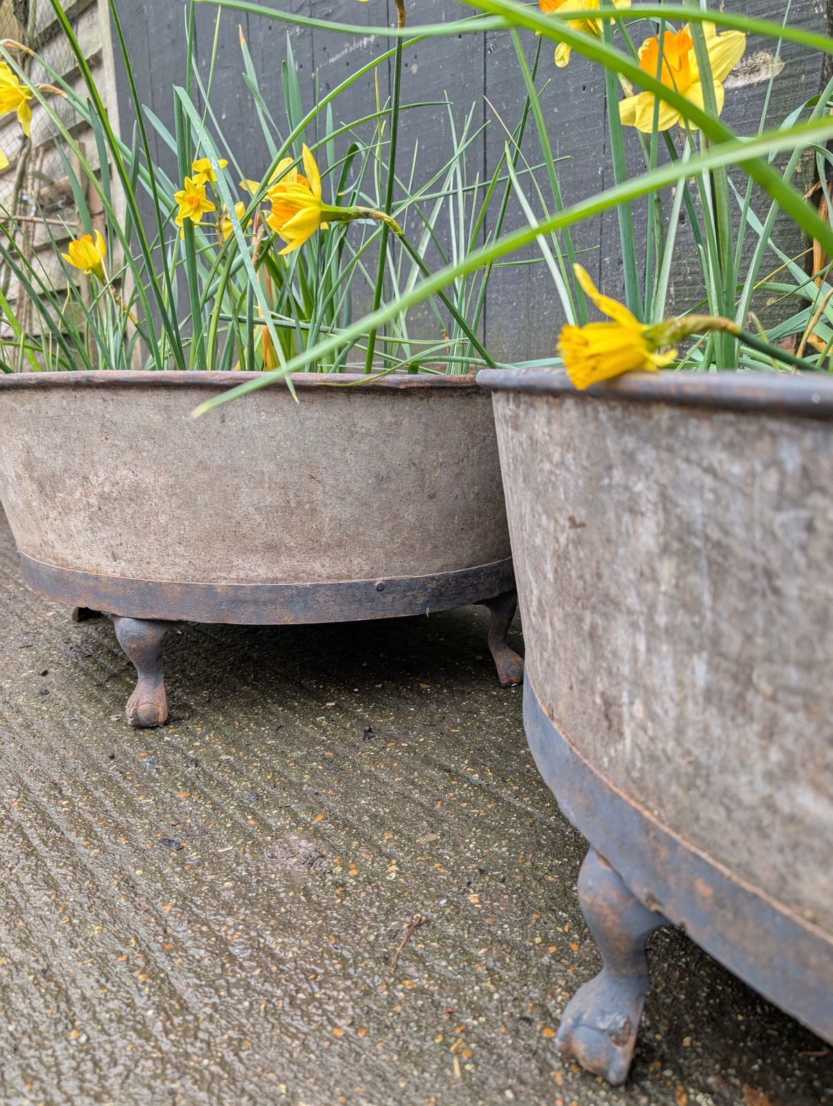 A Pair Of Oval Garden Planters photo furniture