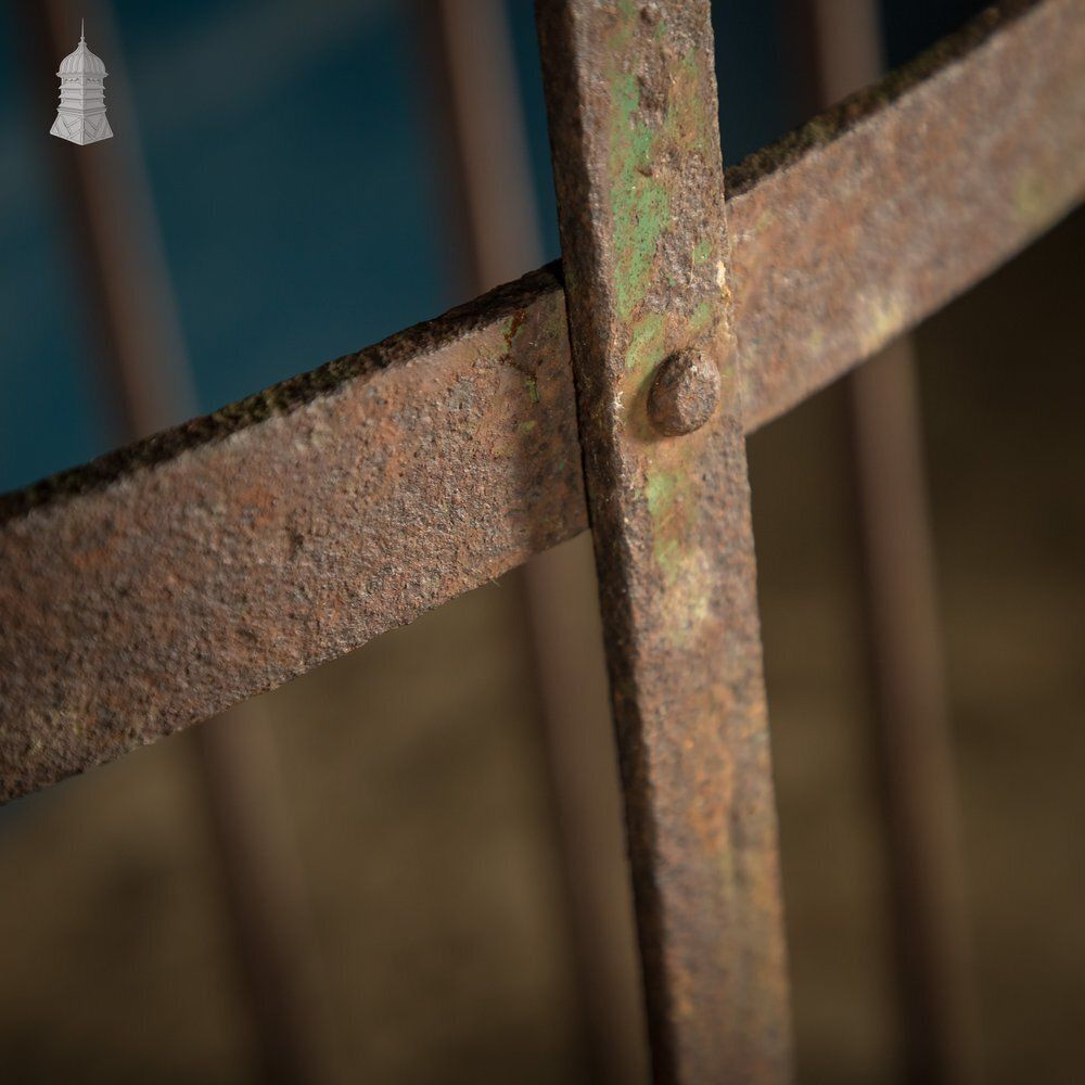 photo for sale Tree Guard, Wrought Iron