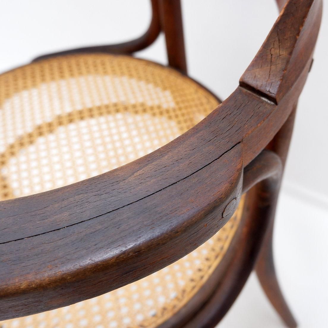 489.0 Thonet Style Bentwood Chair, Stained Beech, Art Deco, 1950s Design photo
