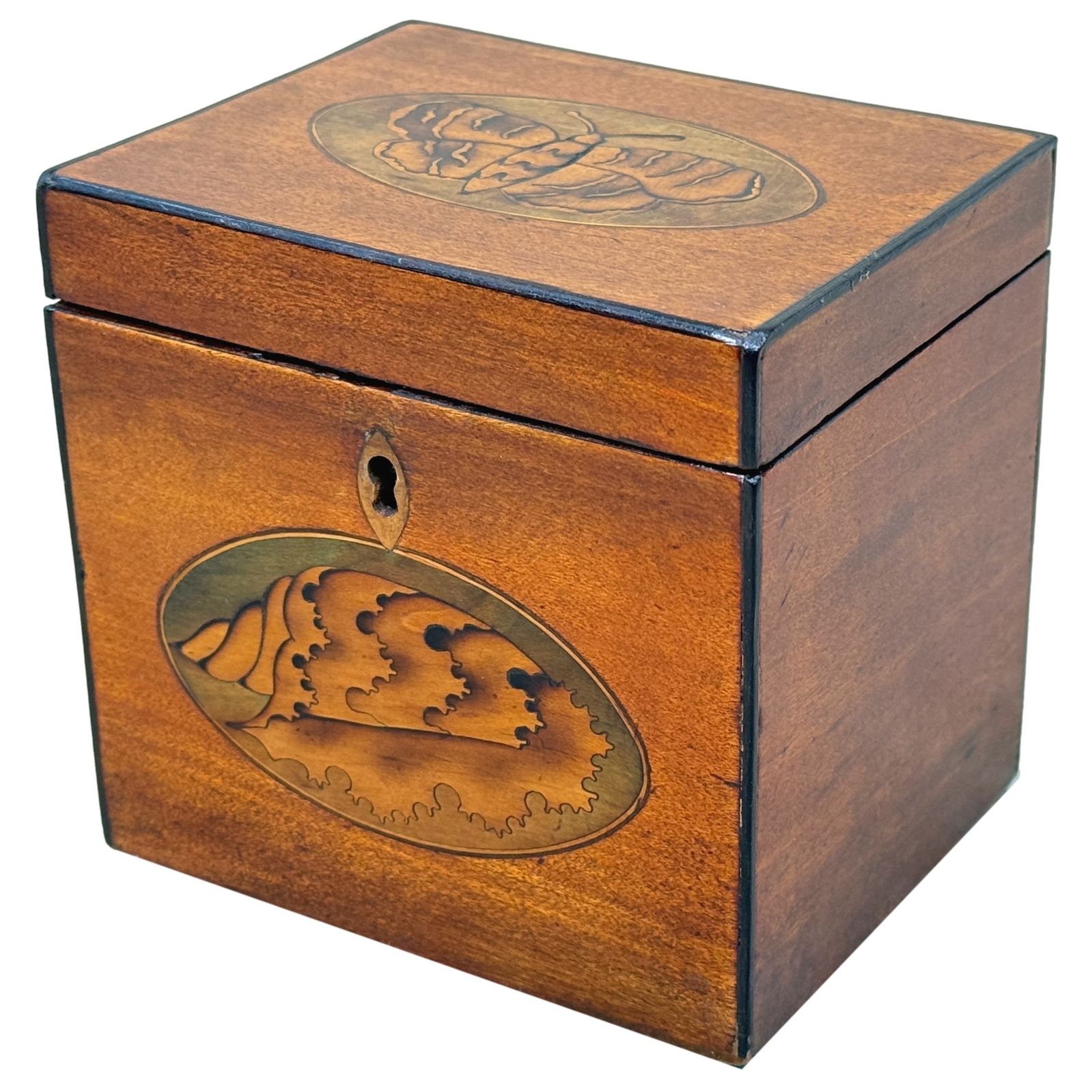 Georgian 18th Century Satinwood Tea Caddy Butterfly Inlay (England, Circa 1790)