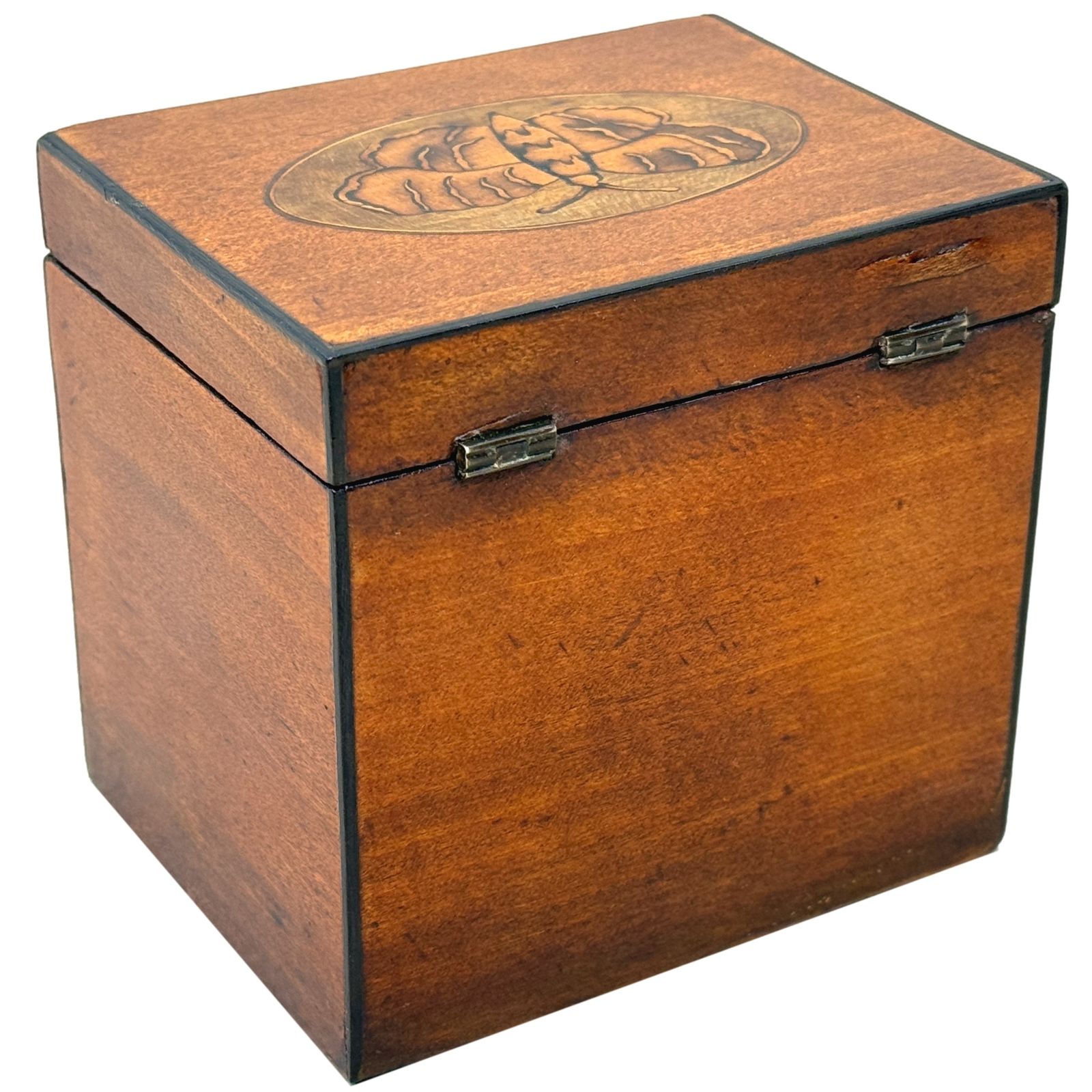 photo for sale Georgian 18th Century Satinwood Tea Caddy Butterfly Inlay (England, Circa 1790)