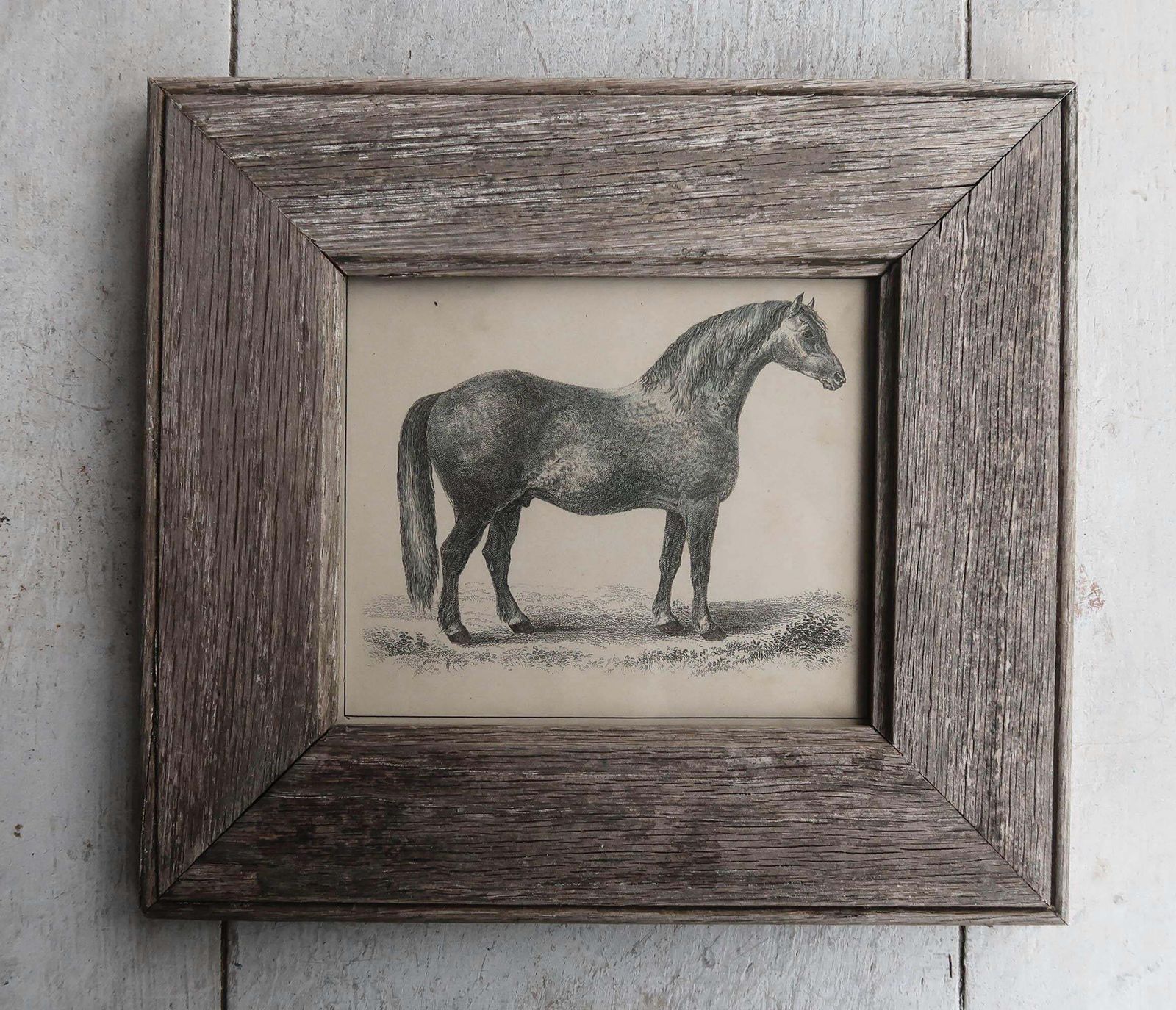 Original Antique Framed Print Of A Grey Racehorse, 1847 photo furniture