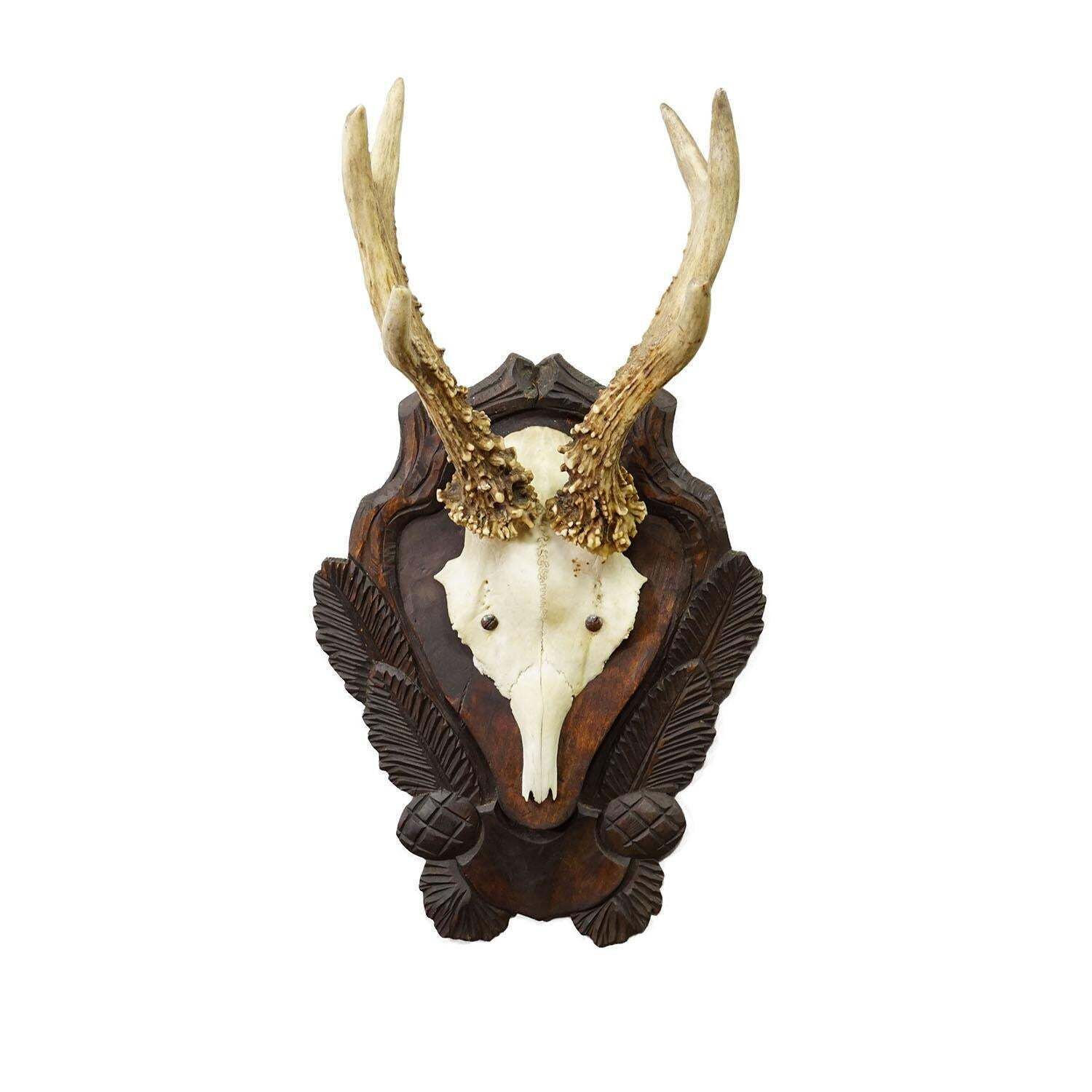 Antique Black Forest Red Deer Trophy On Carved Plaque Ca. 1930s photo furniture