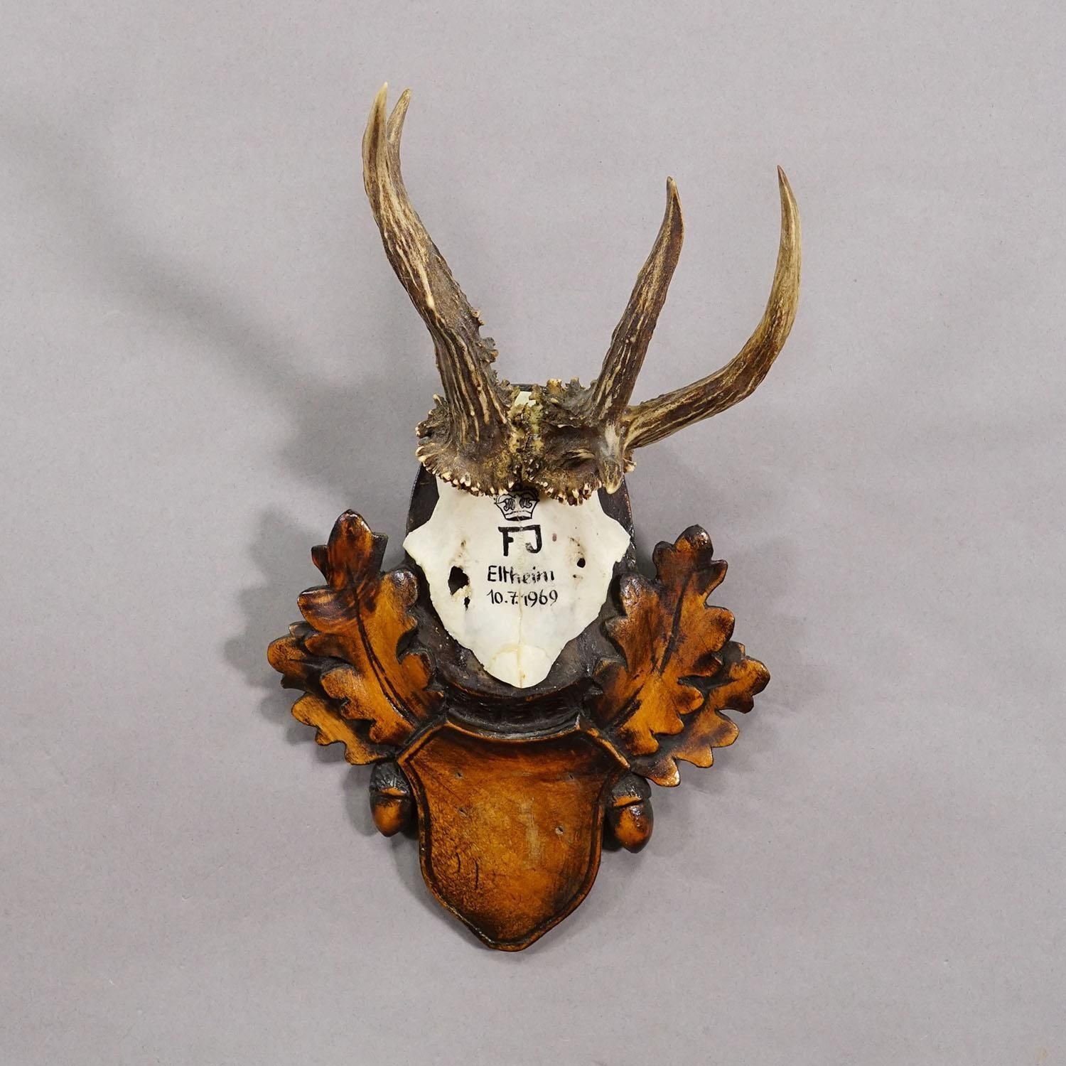 Red Deer Trophy By Franz Joseph, Prince Of Thurn And Taxis, 1969 photo for sale