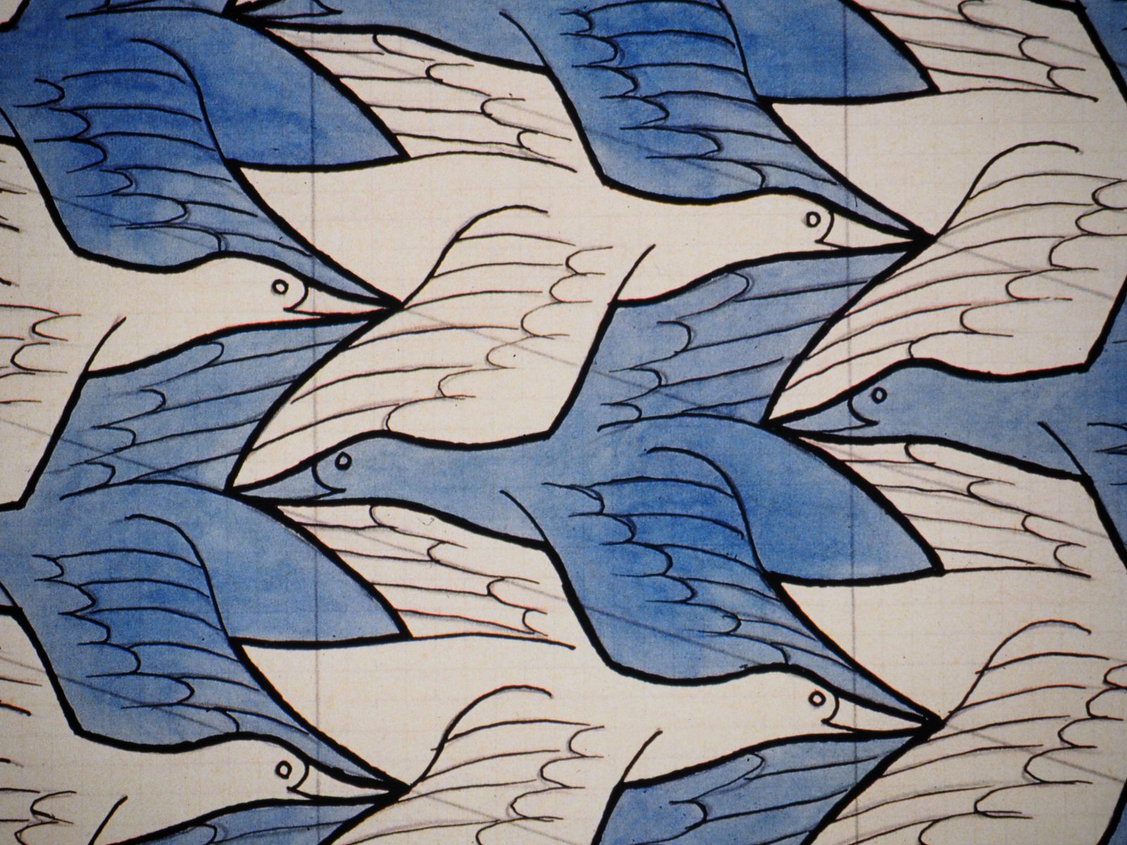 M.C. Eschernature    Flight Of Birds   Facsimile, Ltd /4502008 photo vintage