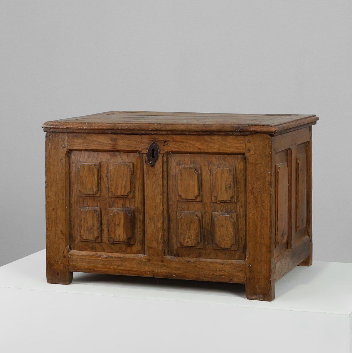 Rustic Oak Paneled Trunk Or Chest, France, 18th Century
