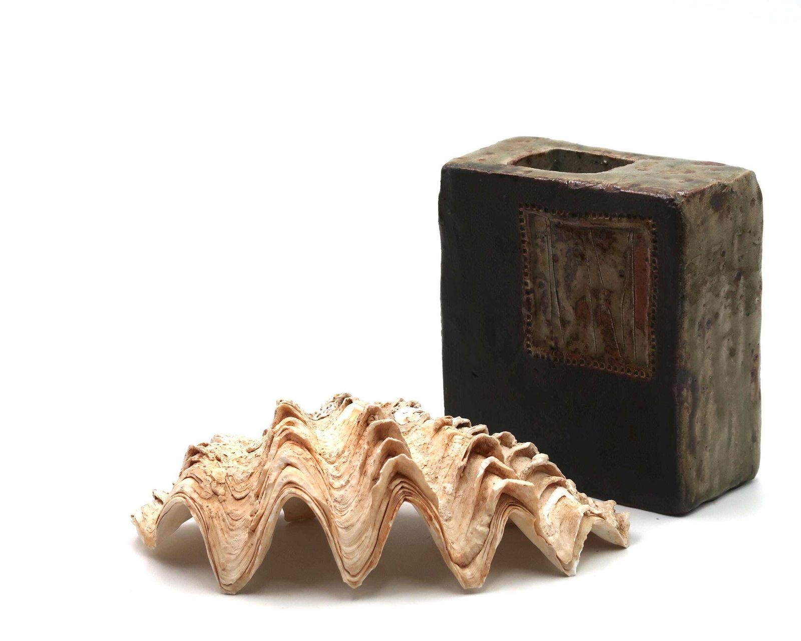 Zeeschelp: Tridacna Schelp, Ca. Jaren 1970 / Schelp, Hoornschelp, Rariteitenkabinet, Ringschaaltje, Zeepschaaltje, Minimalistische Badkamer, Woondecoratie, Natuur photo Woonaccessoires