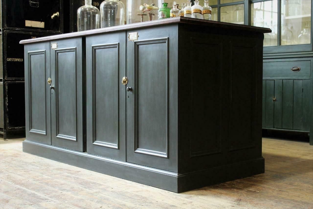 Shop Counter/Museum Cabinet/Kitchen Island From Cambridge Museum Of Zoology photo Furniture
