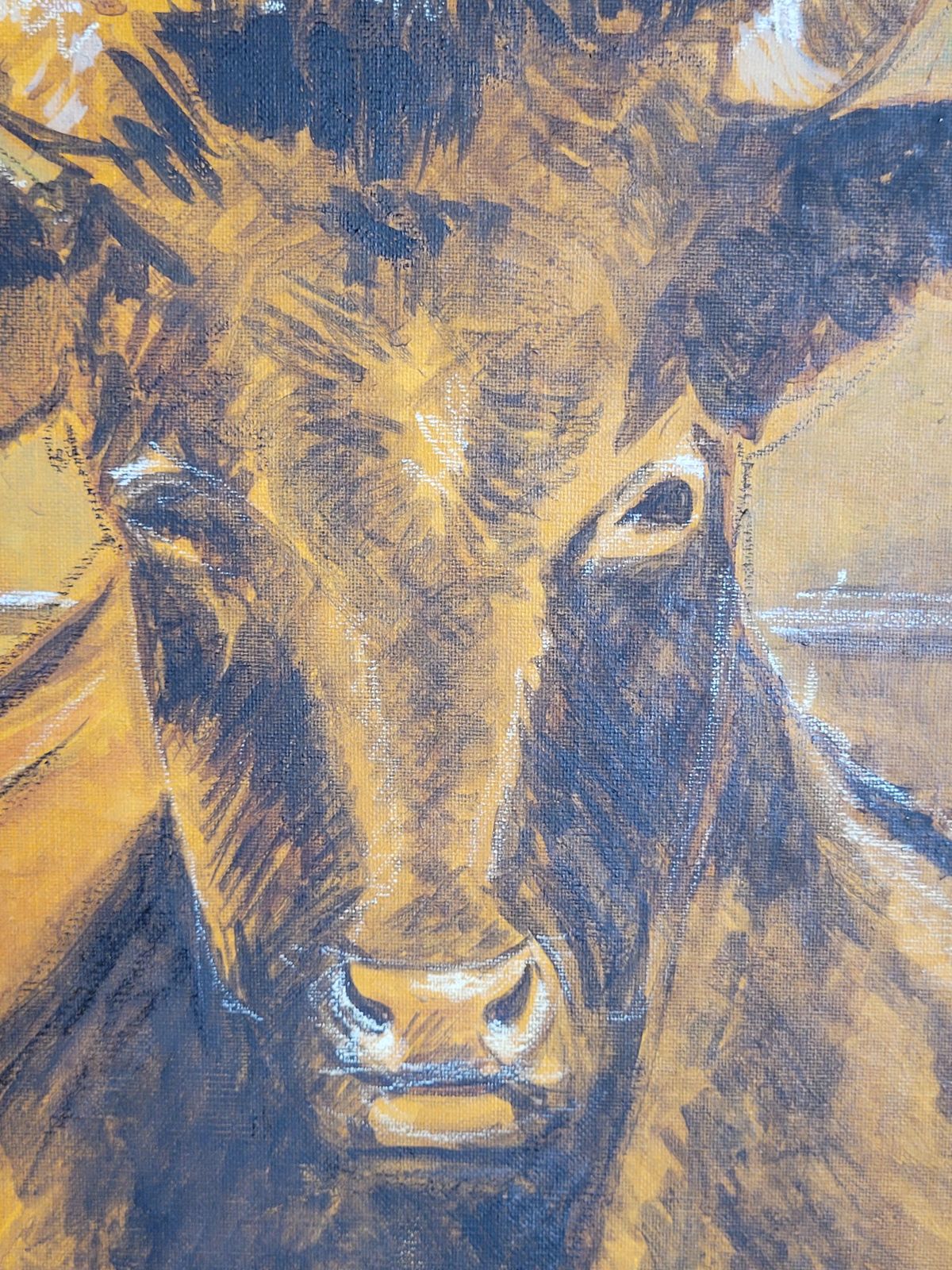 Bull Grazing, Late 20th Century Acrylic On Canvas, Signed, 100x50 Cm 1970s. photo for sale