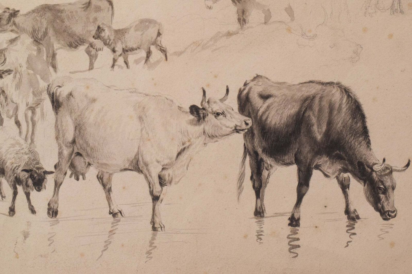 Studie Van Runderen En Schapen – Thomas Sidney Cooper Of Volgeling. photo for sale
