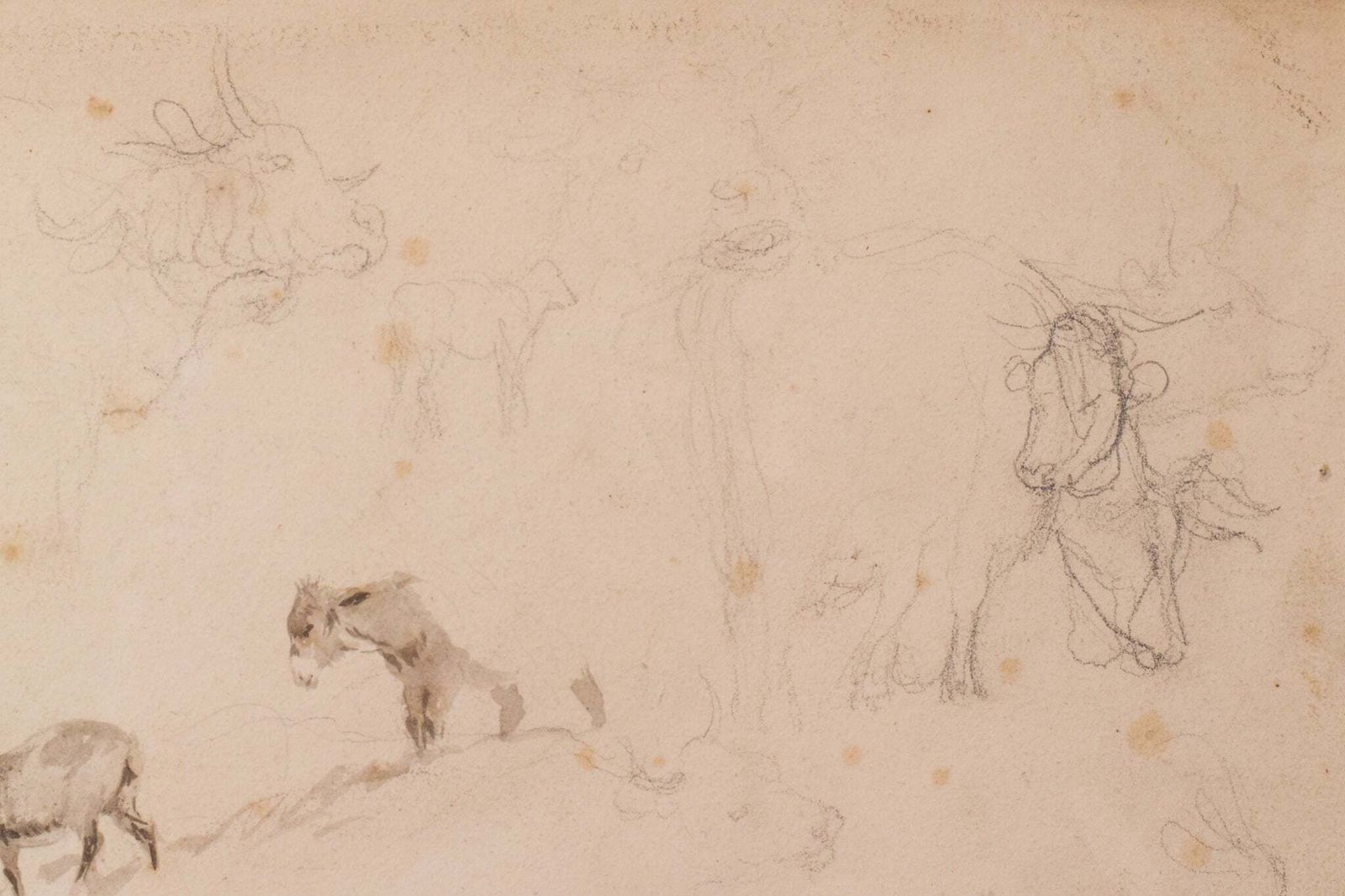 Studie Van Runderen En Schapen – Thomas Sidney Cooper Of Volgeling. photo vintage