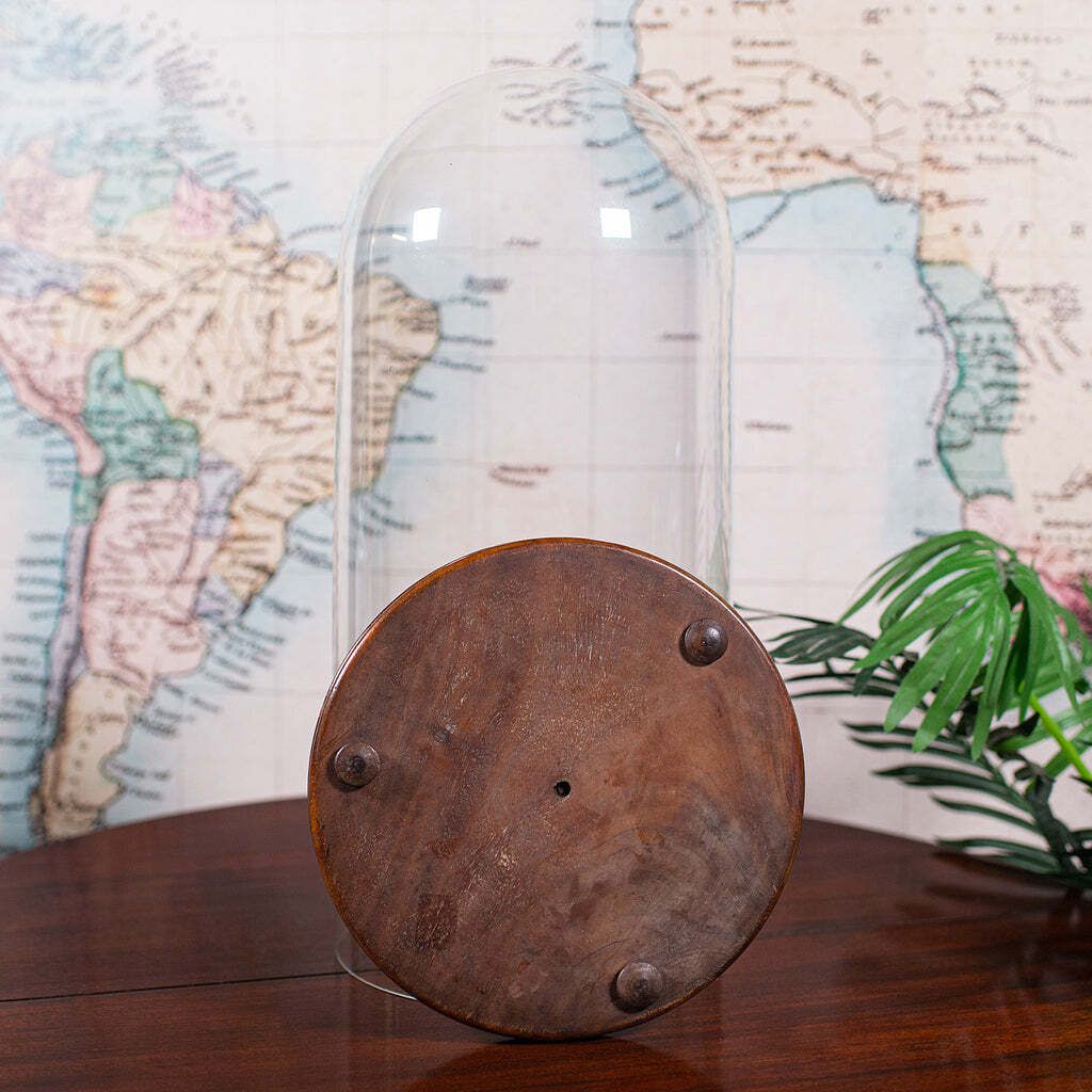Antique Victorian Display Dome, English, Glass, Taxidermy Showcase, Collectors photo vintage