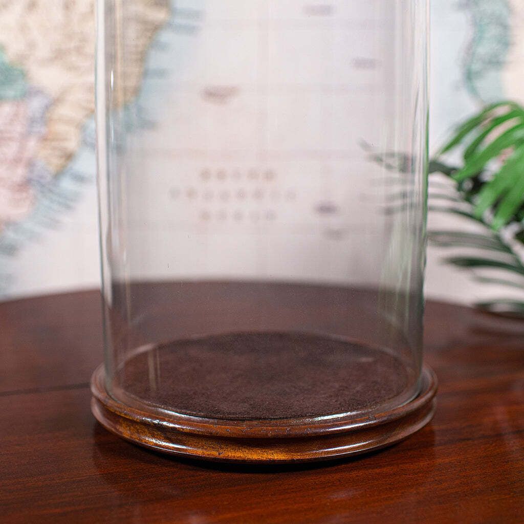 photo furniture Antique Victorian Display Dome, English, Glass, Taxidermy Showcase, Collectors