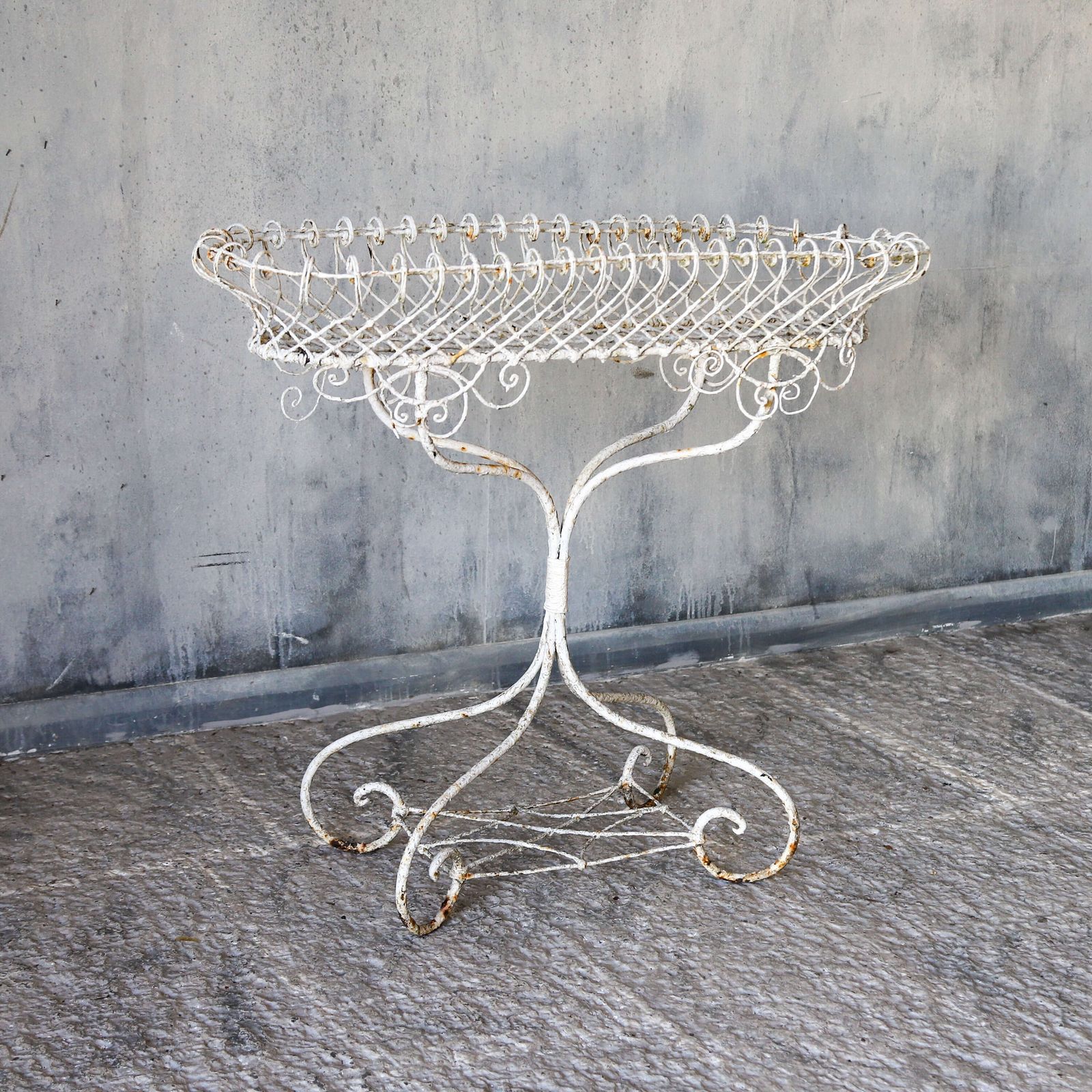 19th Century English Wrought Iron Plant Stand With Scrollwork And Lattice Basket Top photo for sale