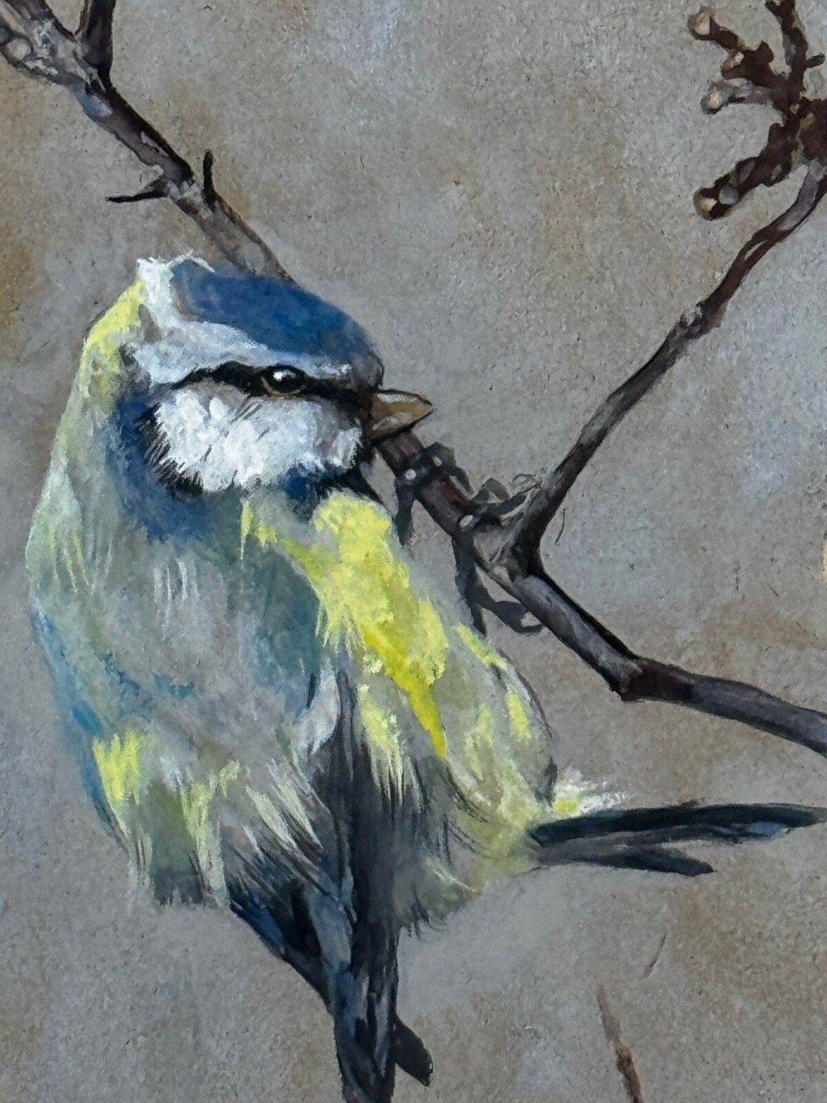 Victorian C1900 Antique Painting Apple Blossom Blue Tit Bird By Arthur Wardle photo for sale