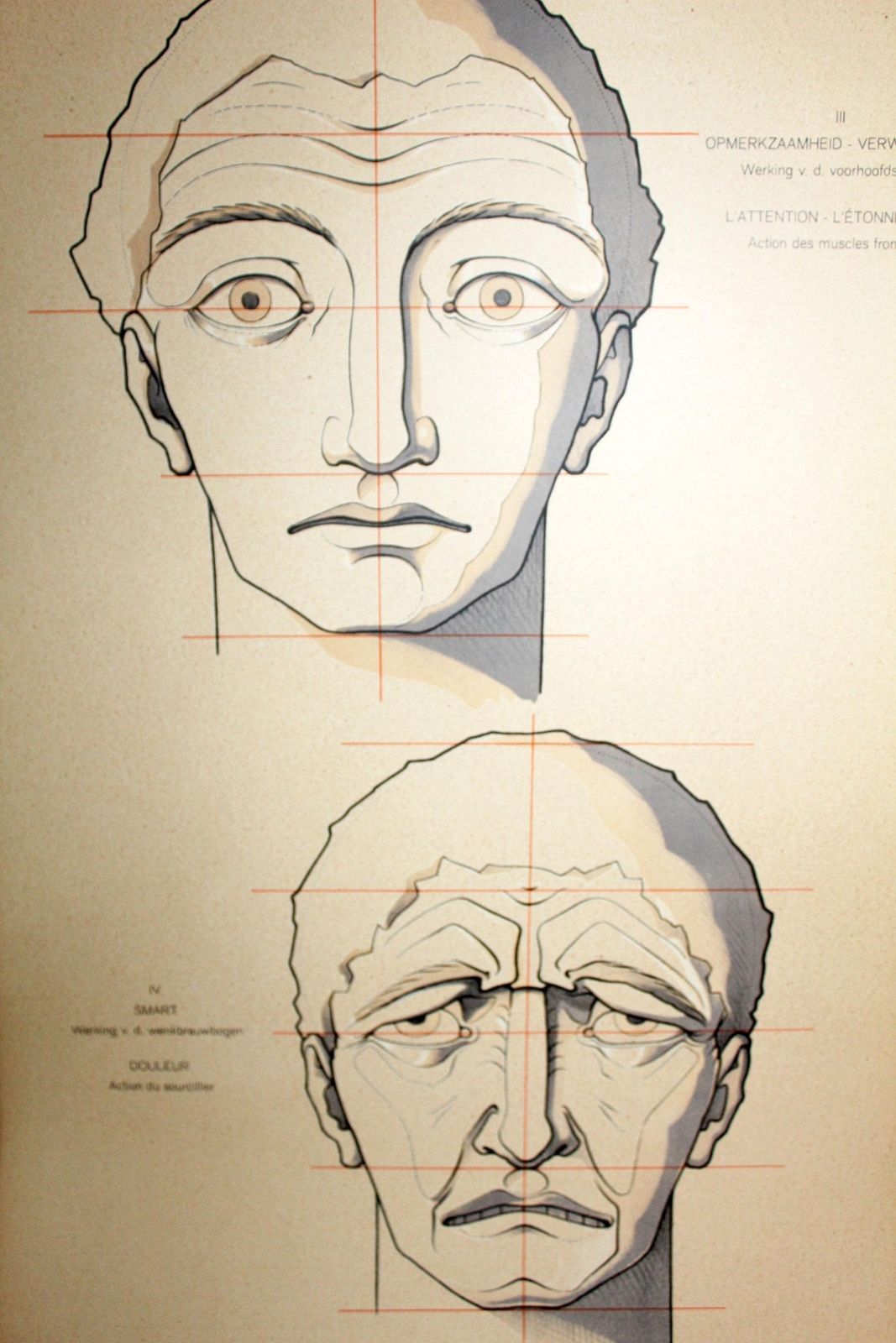 Set Of Two Large Art Deco Antique Anatomy Muscle Face Facial Expressions, How To Draw, Speybrouck 1933 Belgium Tournai, Science, Ship Tubed photo vinterior