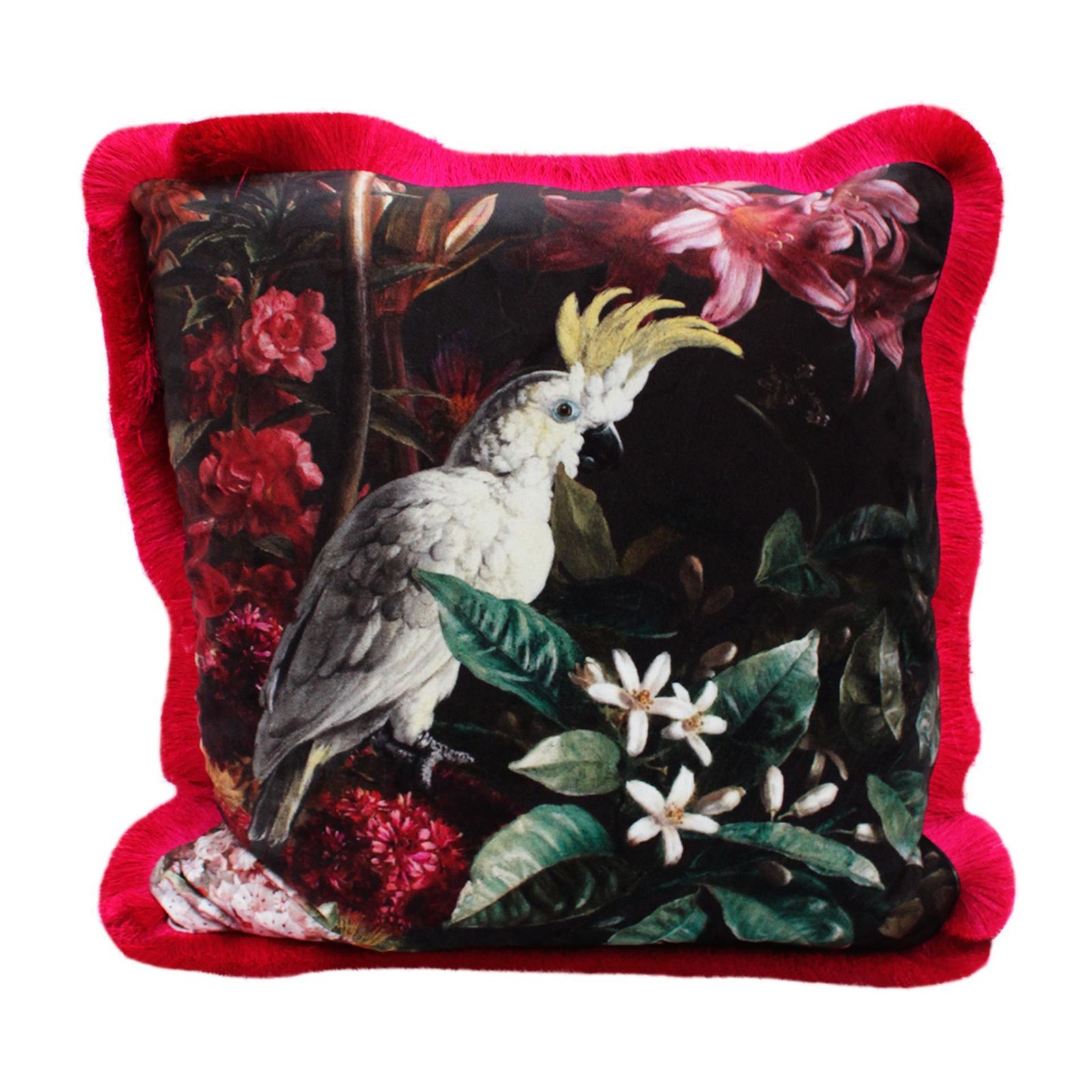 Pair Of Contemporary Cushions In Cotton Fabric And Dark Moare And Fuchsia Parrots photo for sale