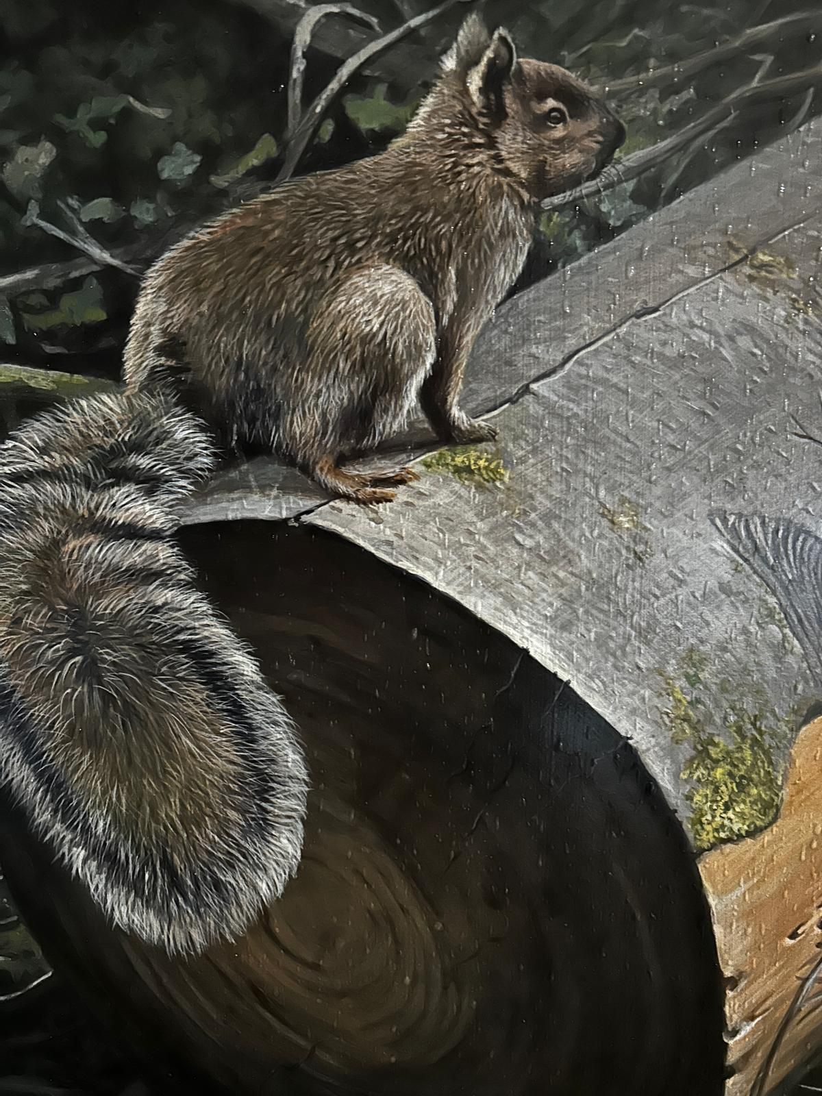 photo for sale John Wachorn Oil Painting Of A Woodland Squirrel
