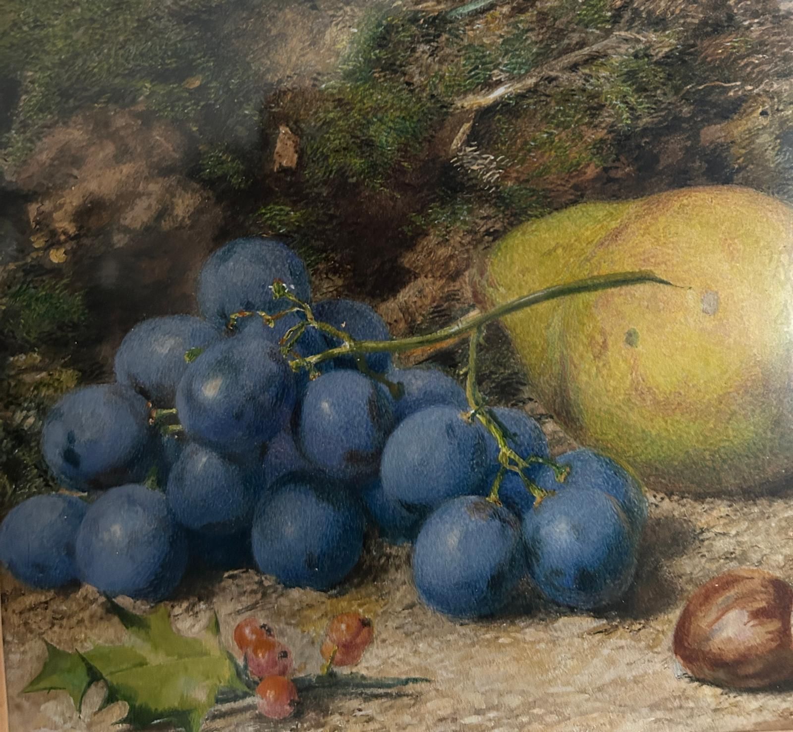 Early 19th Century Still Life Watercolour Still Life photo for sale