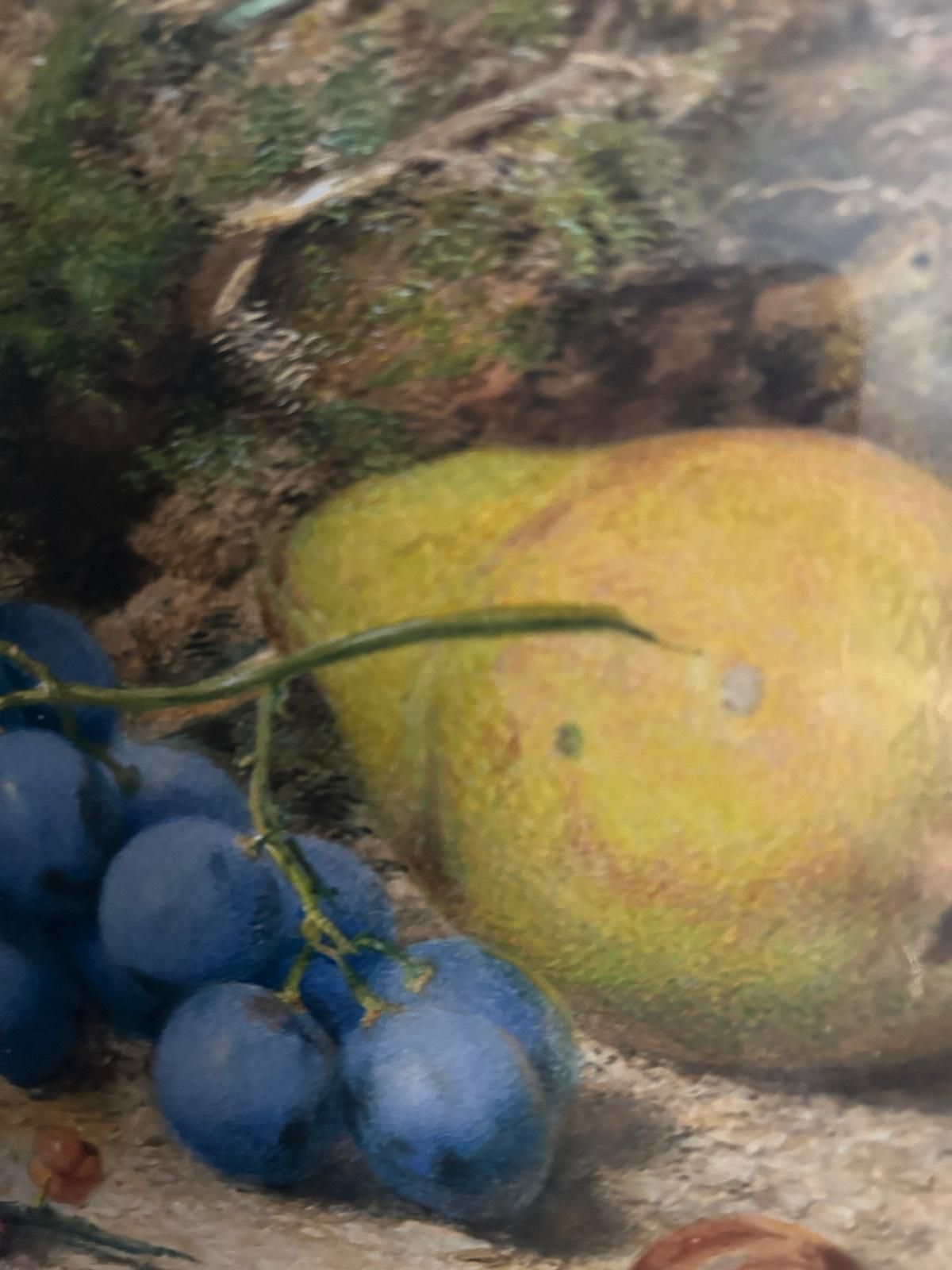 Early 19th Century Still Life Watercolour Still Life photo vinterior