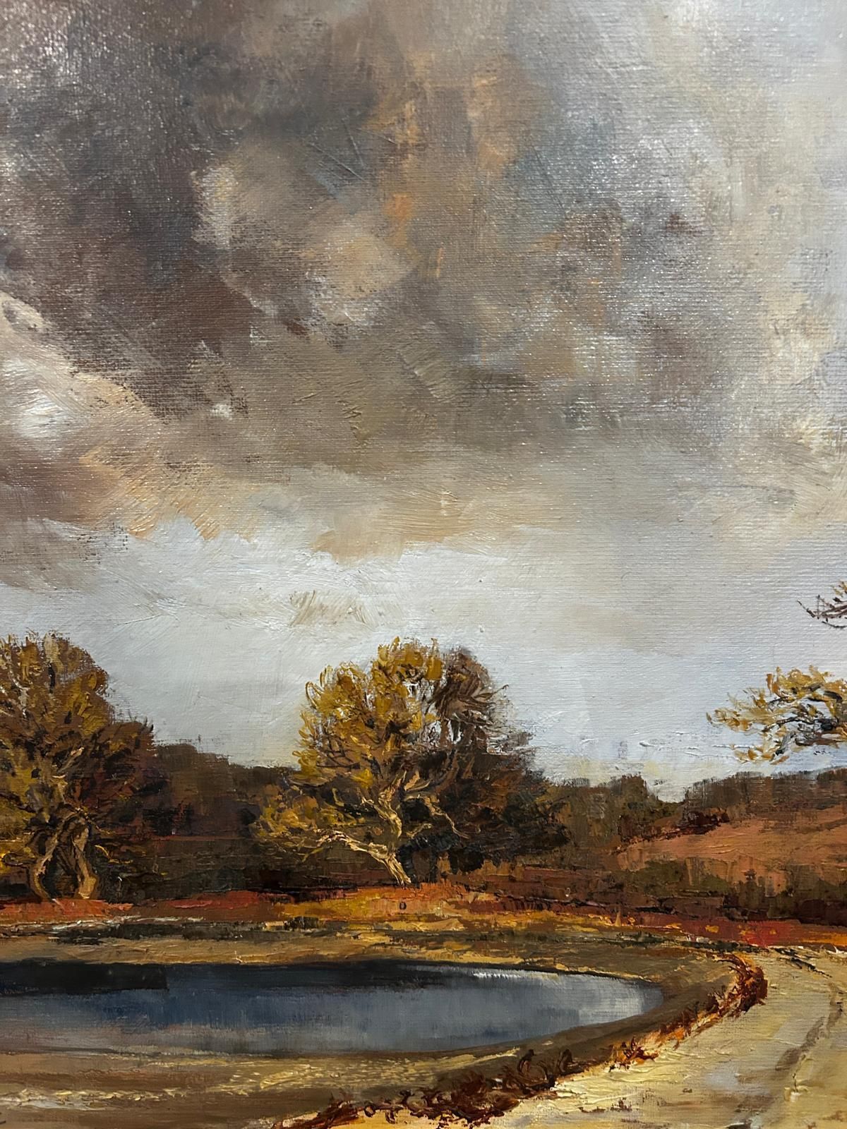 "Stomr Cloud" Mid Century Landscape Oil Painting By Jessica Bohannan Framed photo for sale