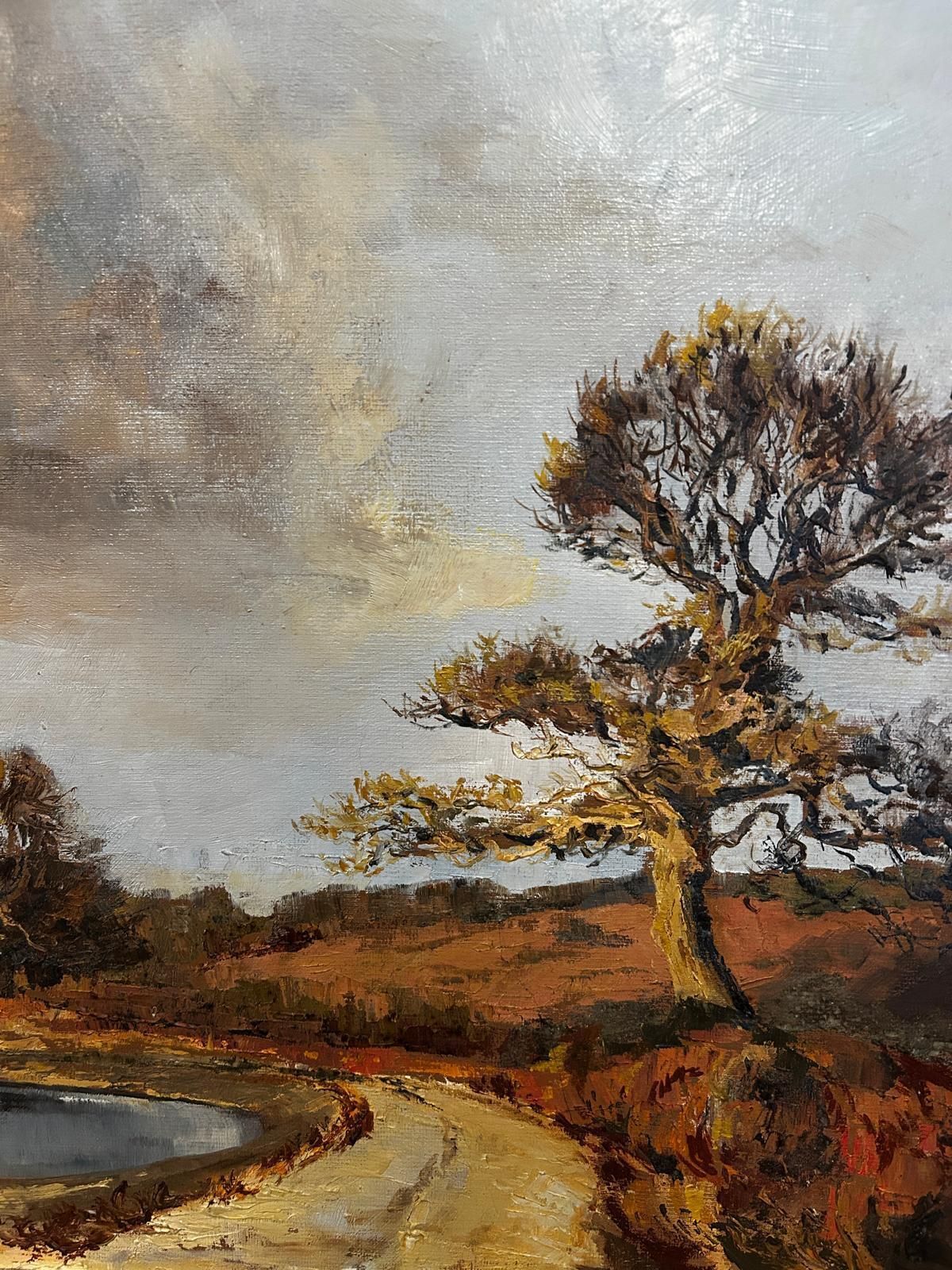 "Stomr Cloud" Mid Century Landscape Oil Painting By Jessica Bohannan Framed photo buy