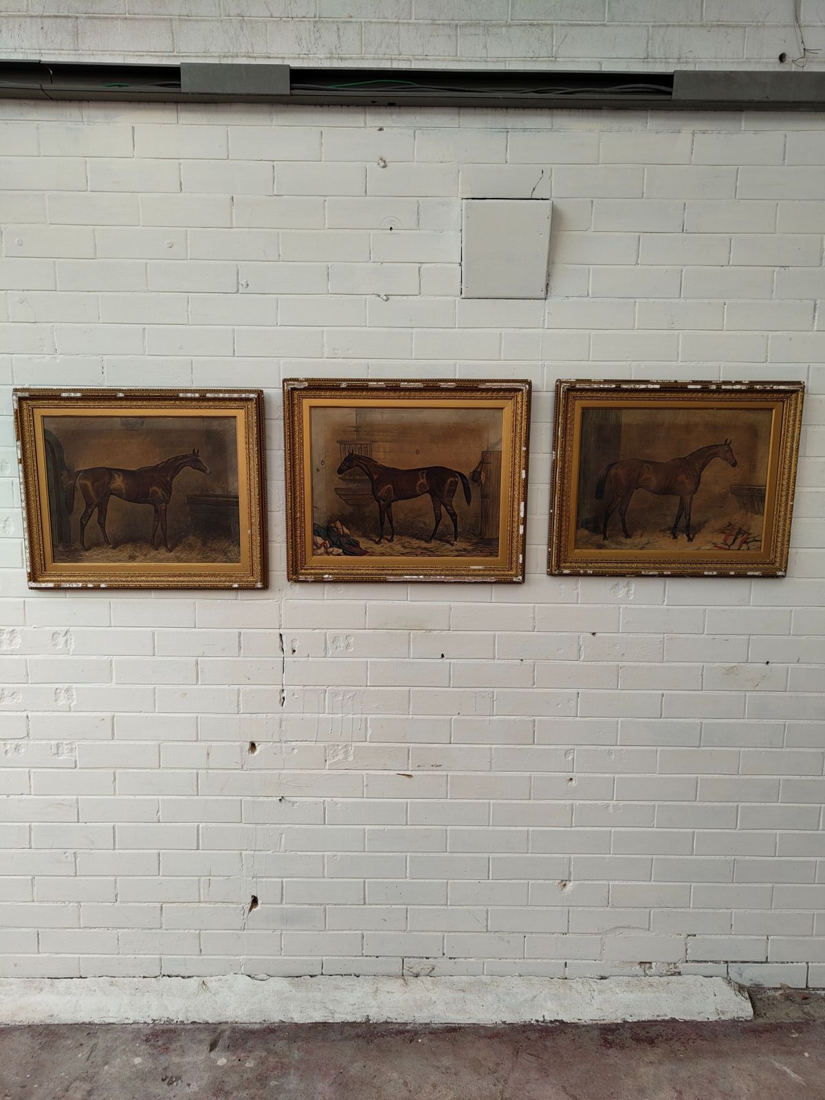 270.0 Antique Set Of Three Early Edwardian Race Horse Equestrian Lithographs After Harry Hall photo