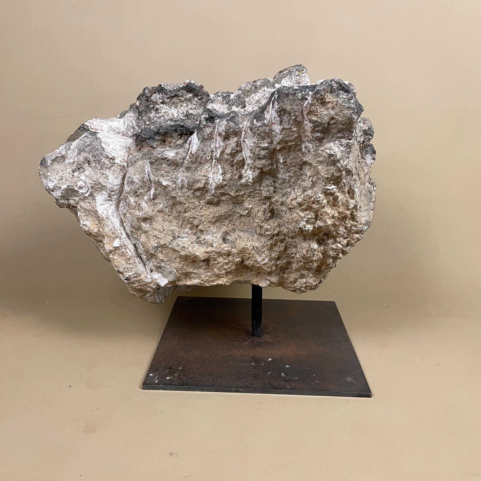 Large Natural Fossil Rock Specimen On Metal Stand Heavy Display Piece Art Museum Decor Mineral Collection Curio Display Stone photo furniture