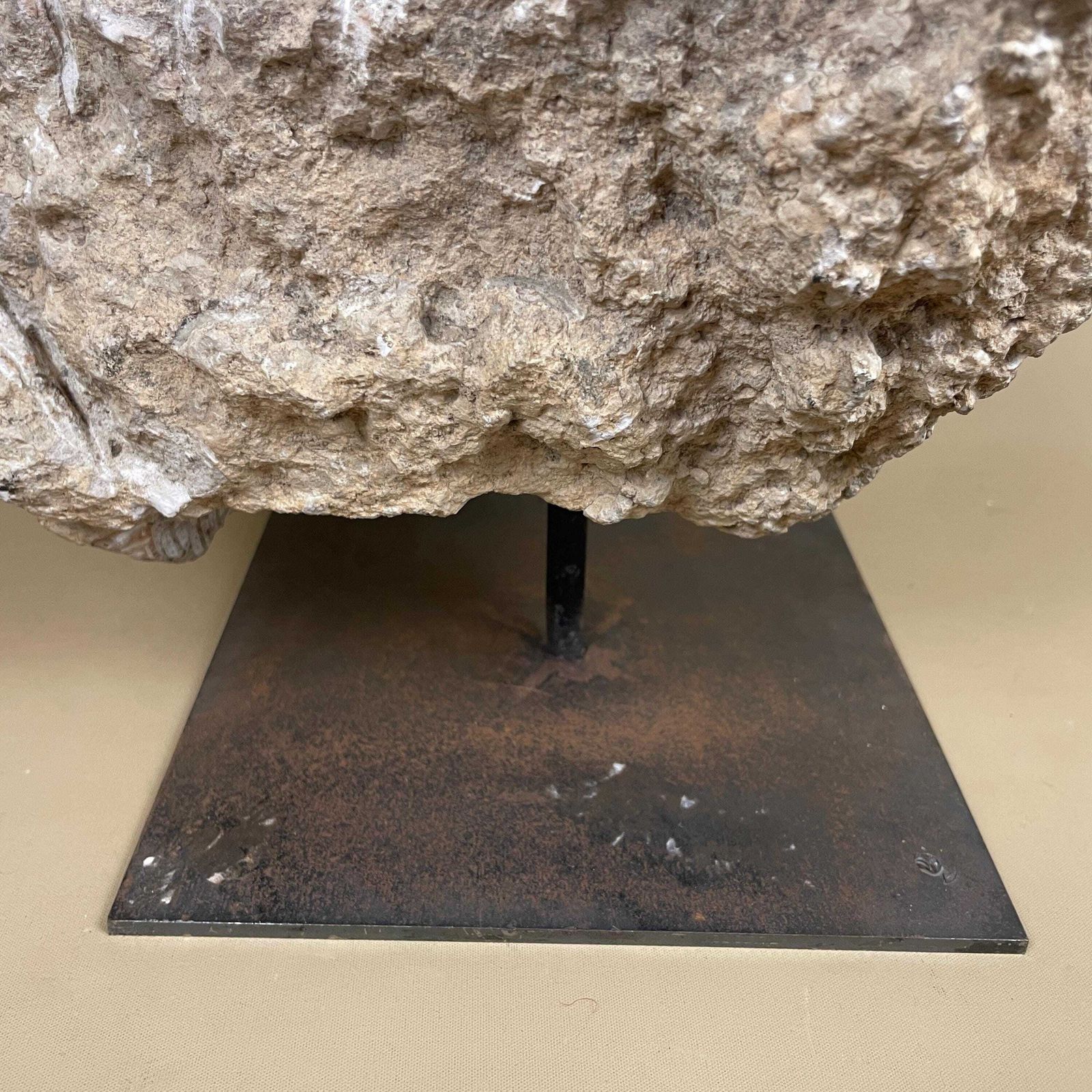 Large Natural Fossil Rock Specimen On Metal Stand Heavy Display Piece Art Museum Decor Mineral Collection Curio Display Stone photo Home Decor