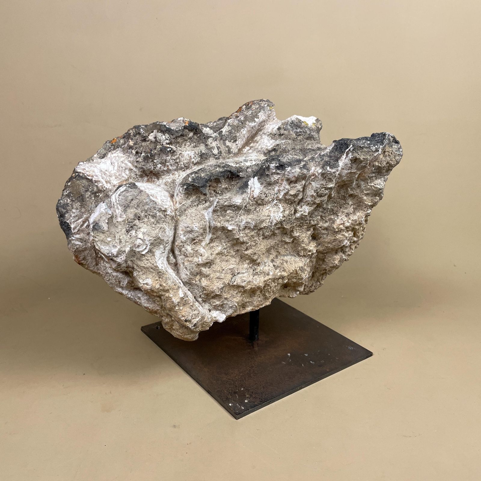 Large Natural Fossil Rock Specimen On Metal Stand Heavy Display Piece Art Museum Decor Mineral Collection Curio Display Stone photo vinterior